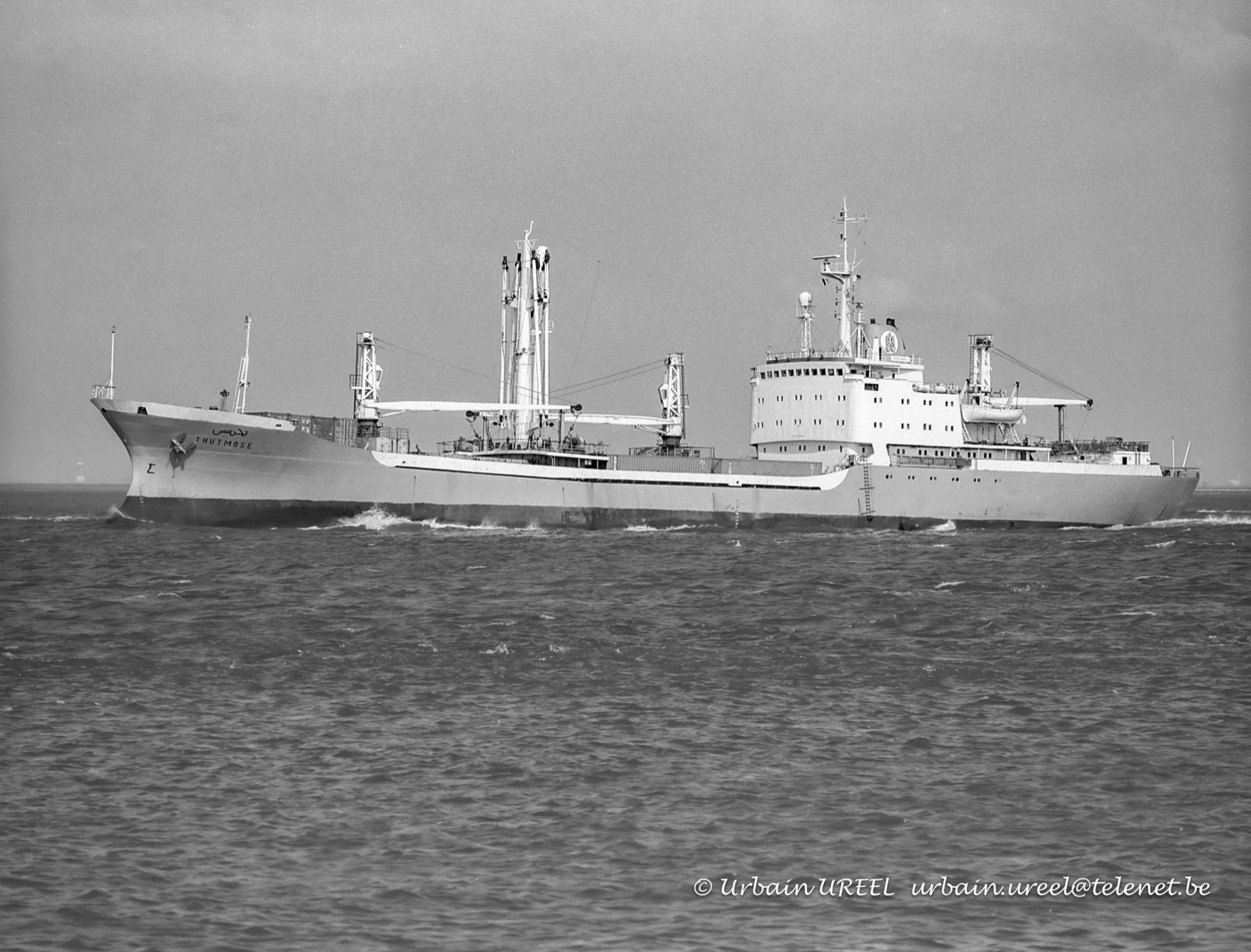 THUTMOSE (°1981) 17 JUN 1993