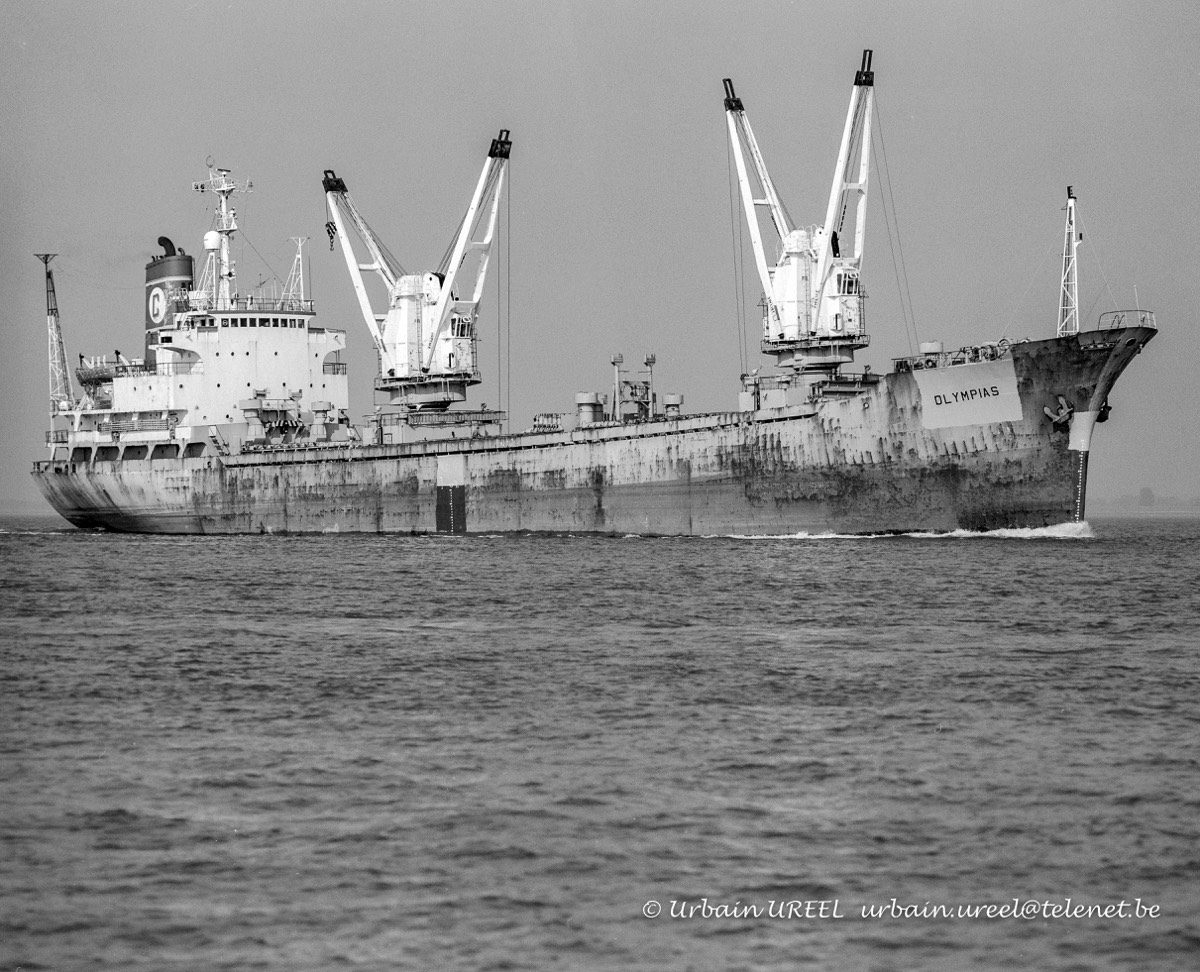 OLYMPIAS (°1976) 24 SEP 1998