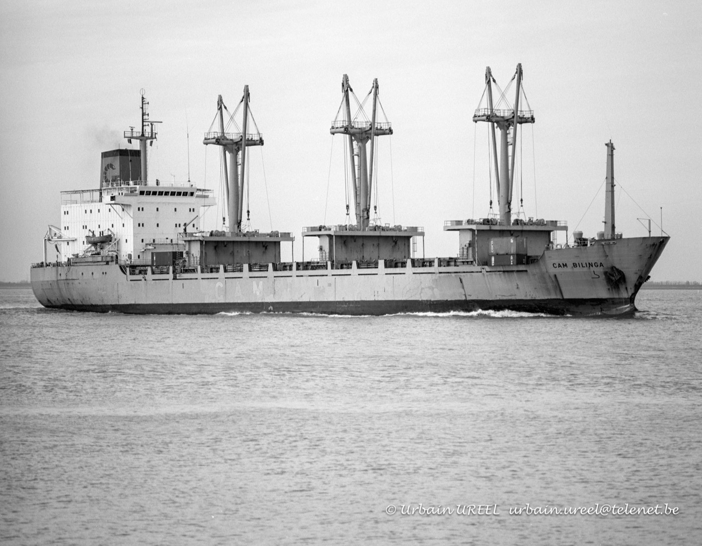 CAM BILINGA (°1984) 4 MAR 1994