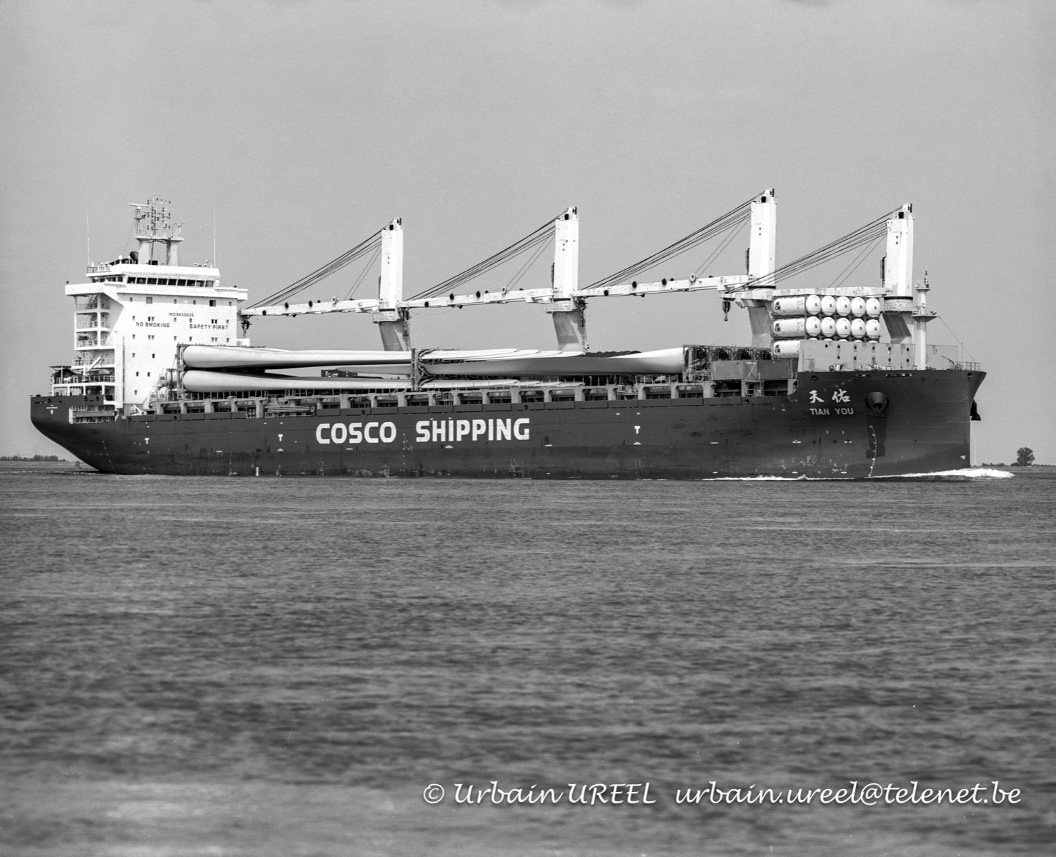 TAIN YOU(°2018) 19AUG2024