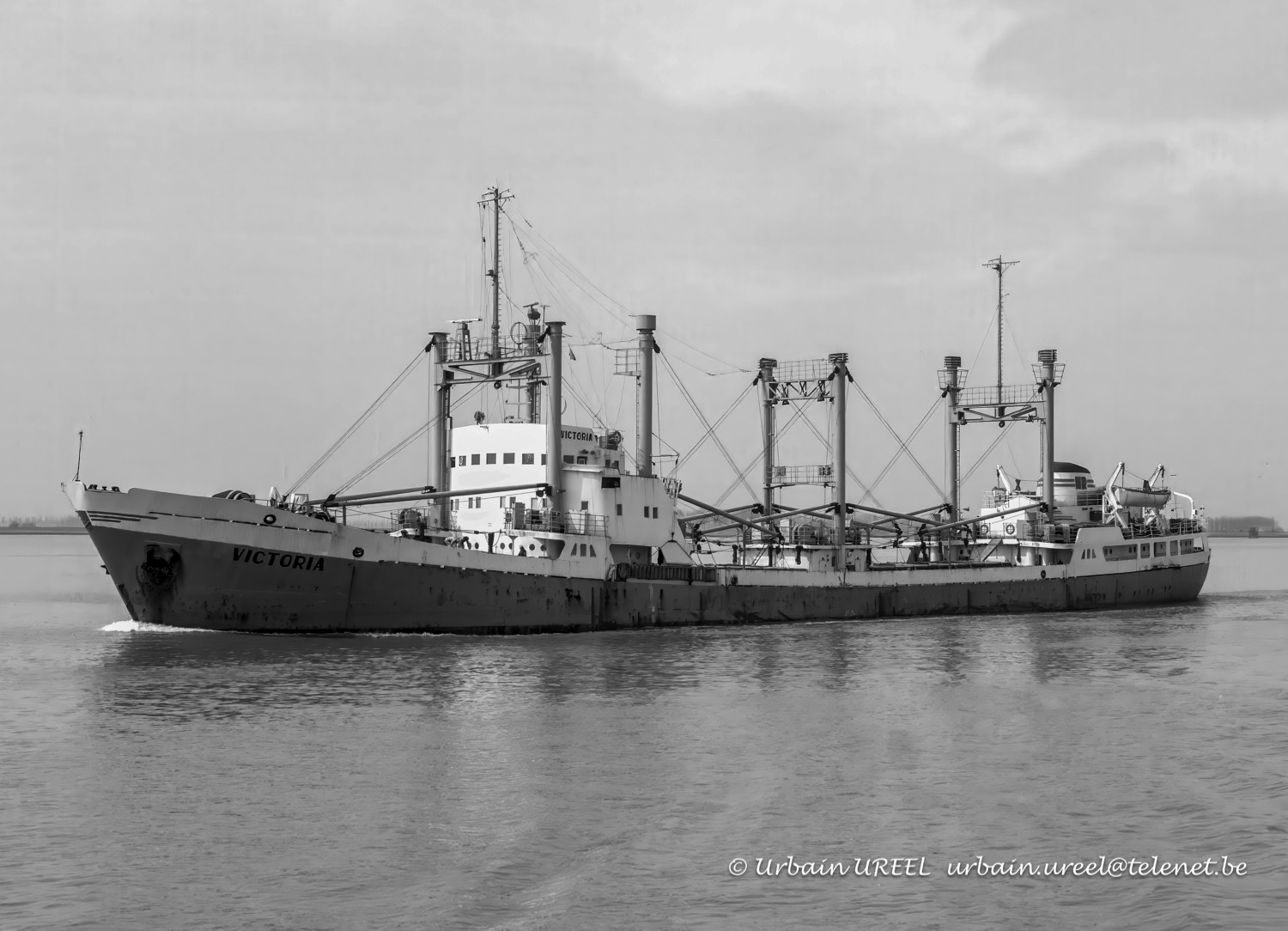 VICTORIA(°1962)  1979