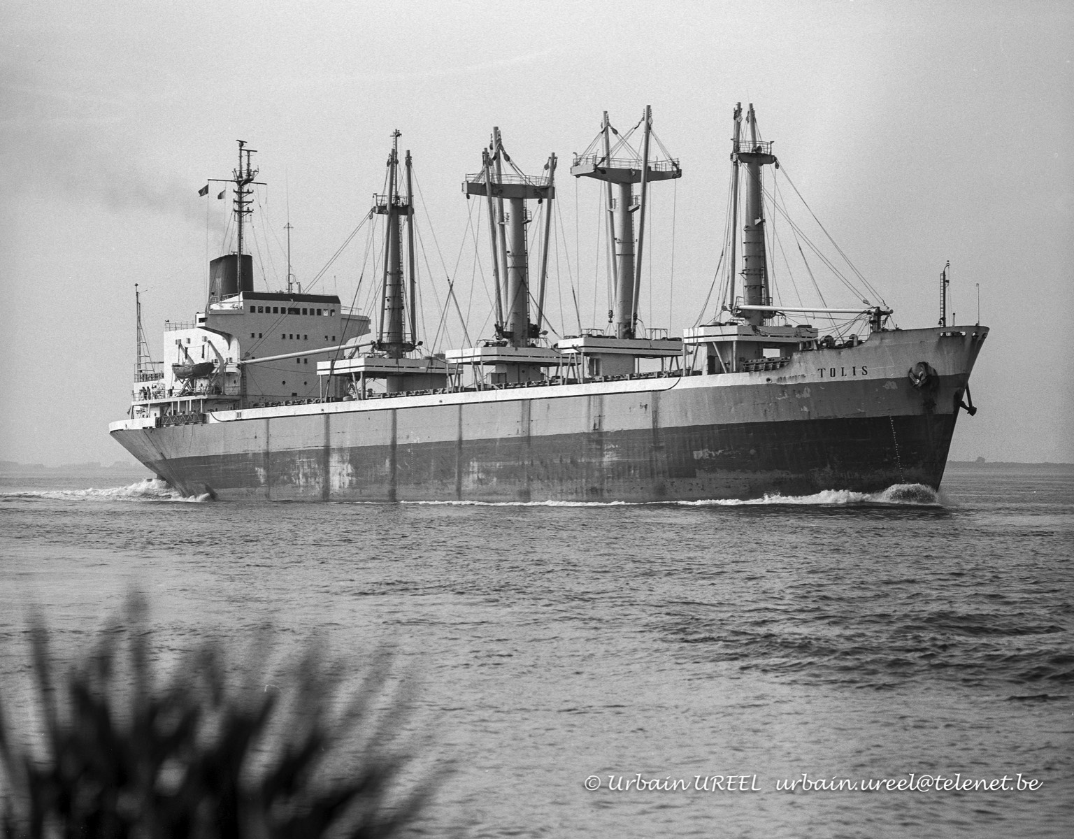 TOLIS  (°1975) 7 JUN 1993