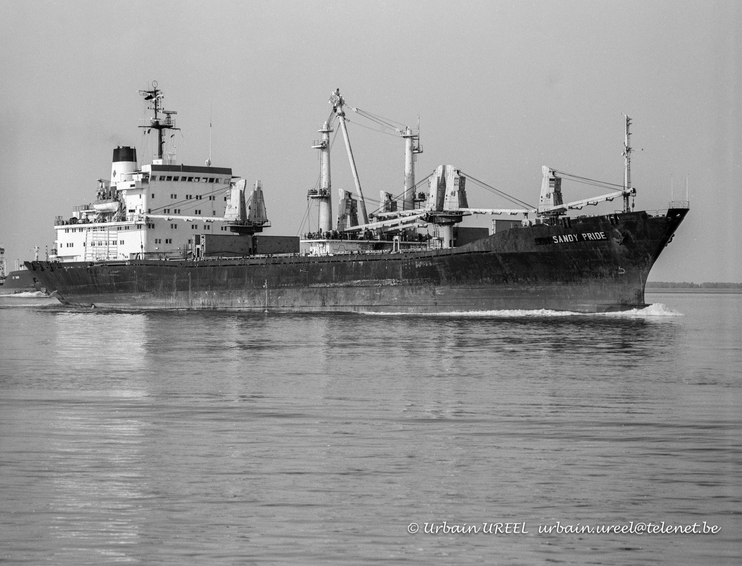 SANDY PRIDE (°1983) 2 SEP 1996