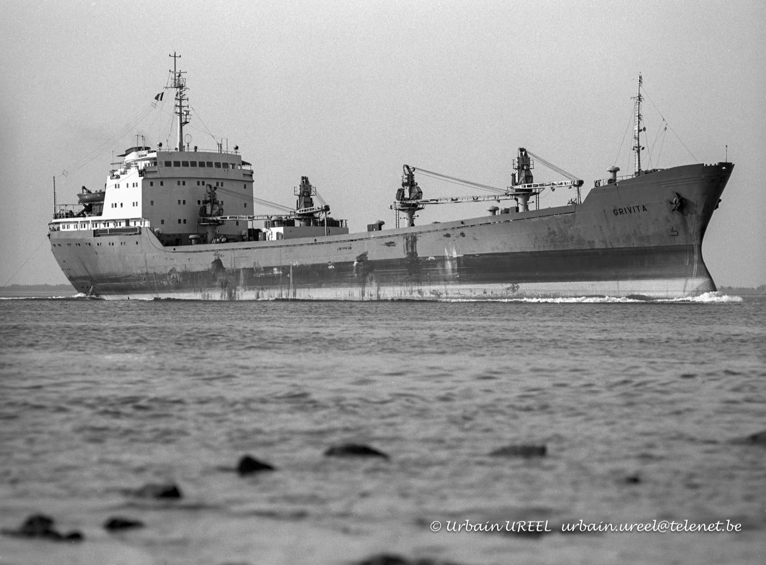 GRIVITA (°1980) 13 AUG 1993