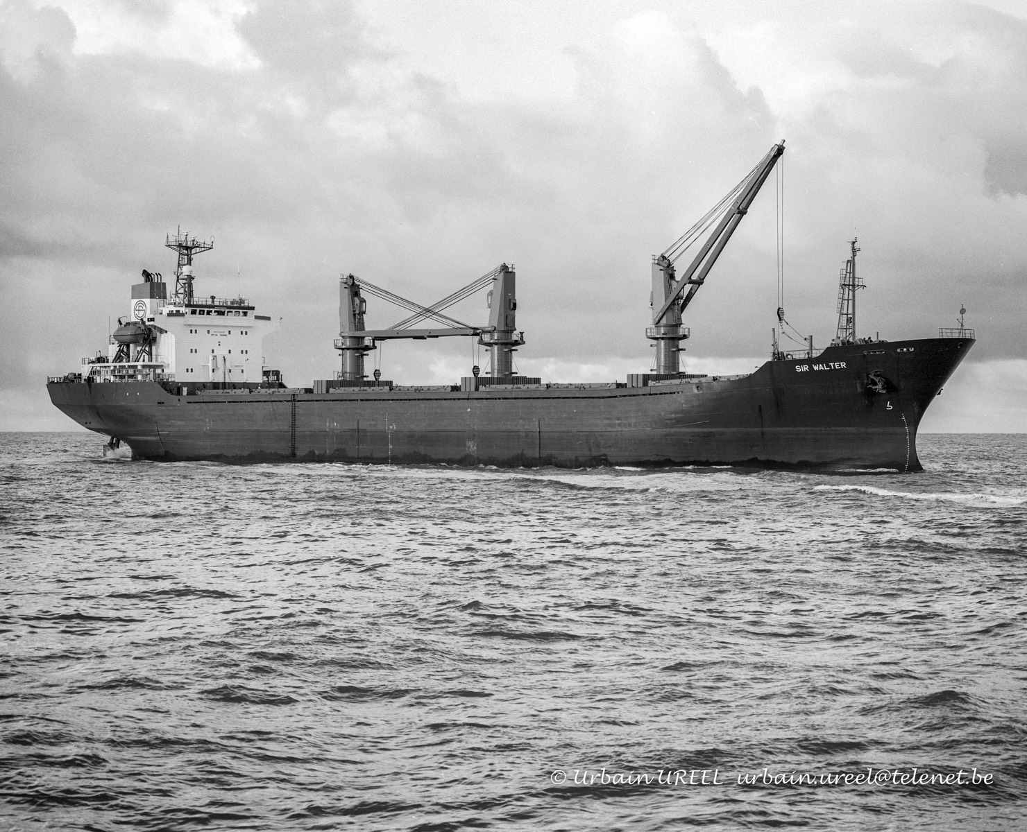 SIR WALTER (°1996) 24 JAN 2007