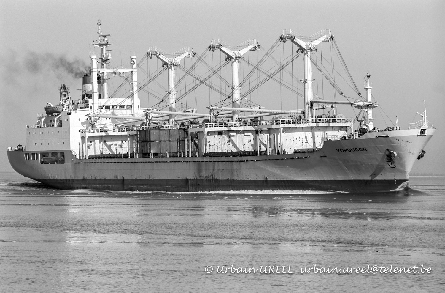 YOPOUGON (°1977) 16 FEB 1985