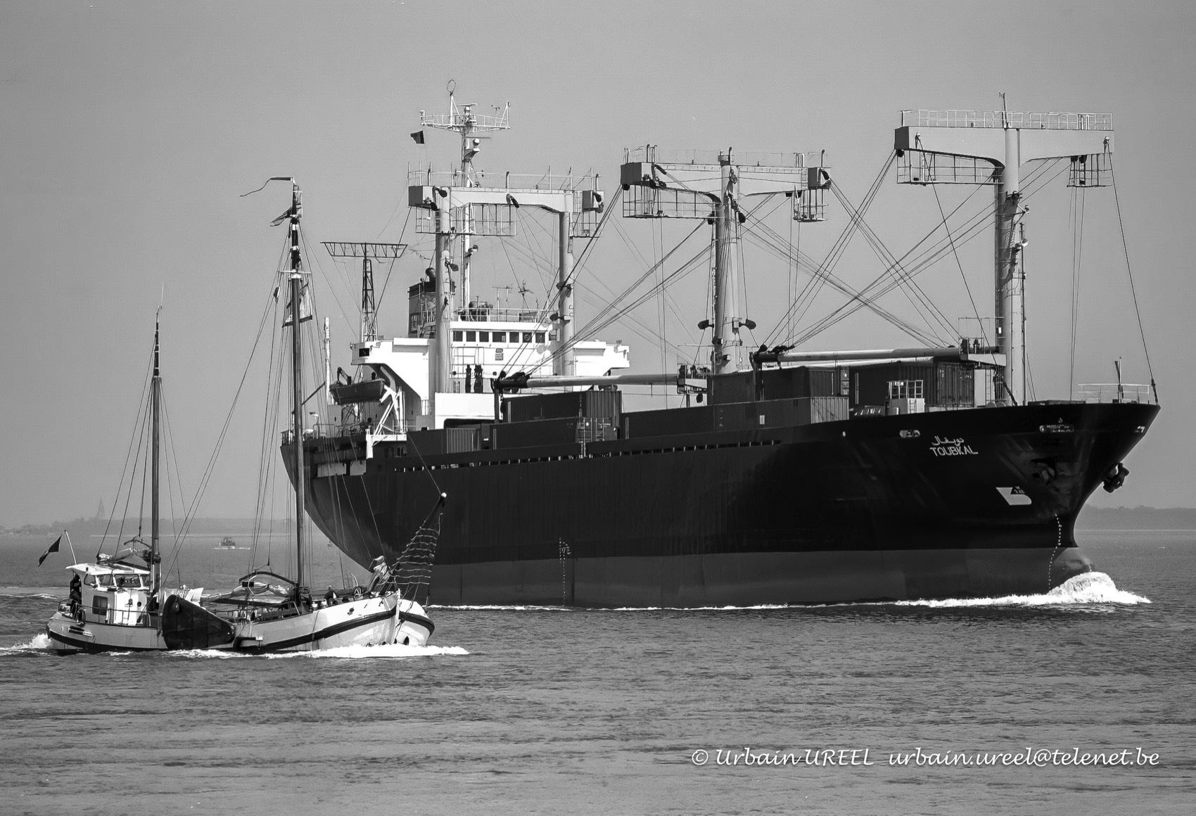 TOUBKAL (°1983) 29 MAY 1995