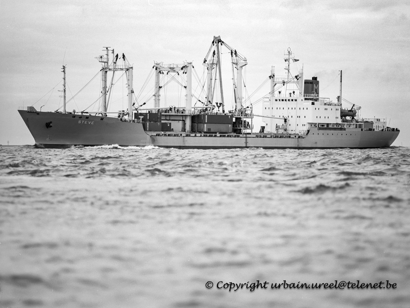 STEVE (°1977) 27 AUG 1993