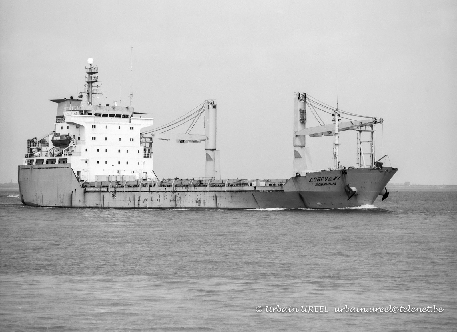 DOBRUDJA (°1987) 8 MAY 2001