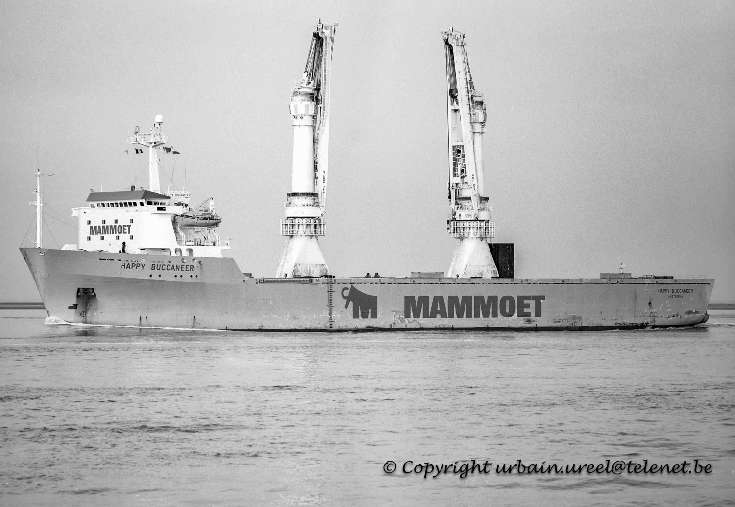 HAPPY BUCCANEER (°1984) 13 AUG 1993