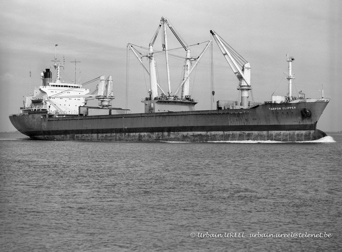 TARPON CLIPPER (°1979) 23 FEB 1998