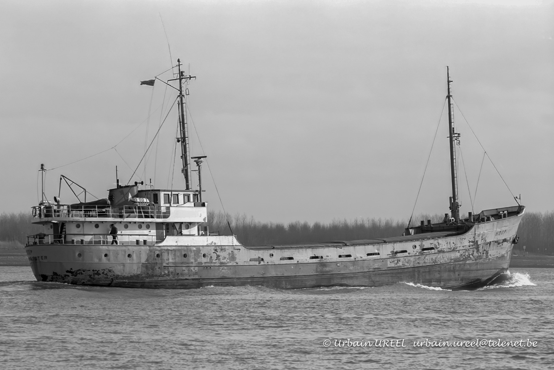 HOOP (°1957) 15 FEB  1982