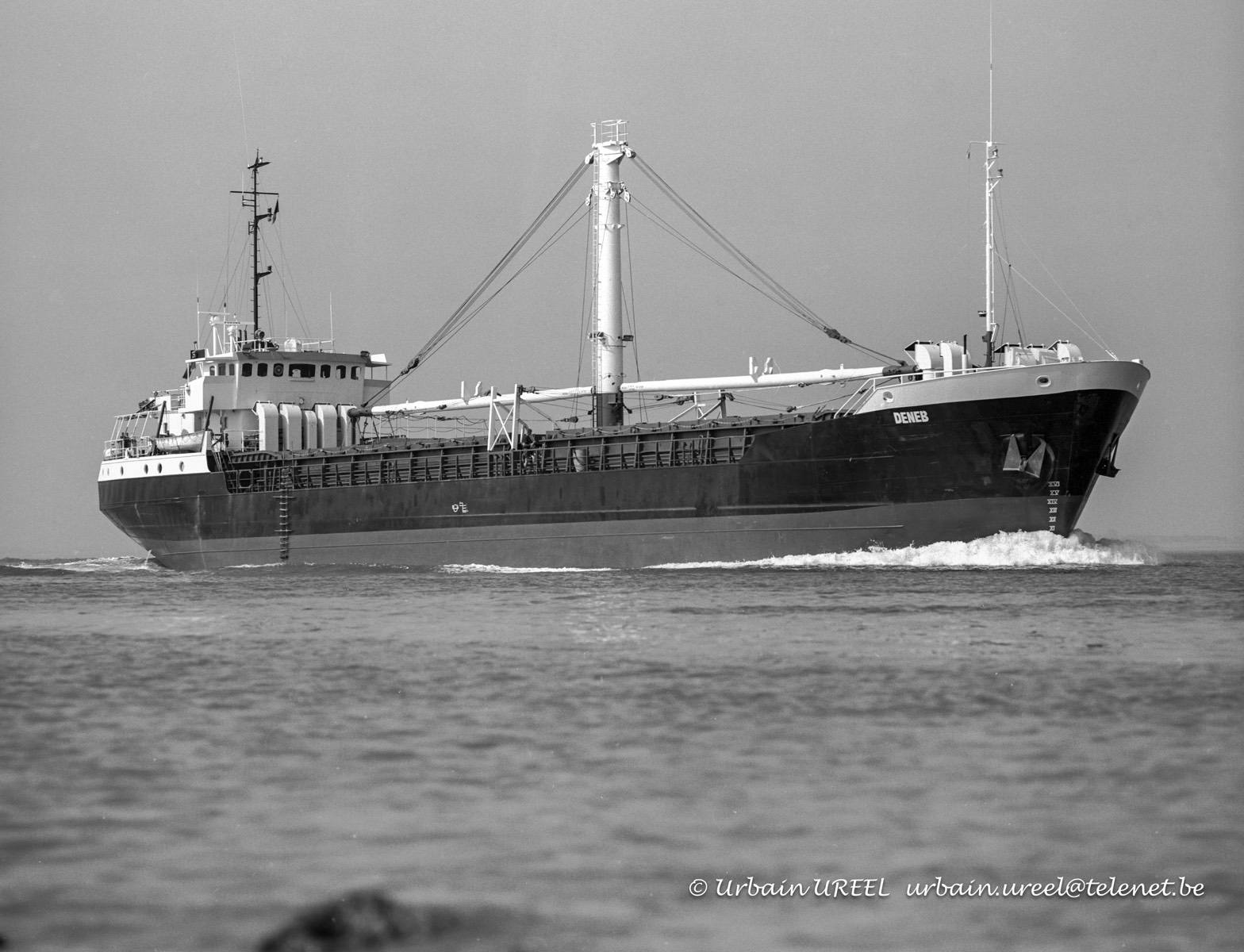 DENEB (°1981) 20 JUL 1995