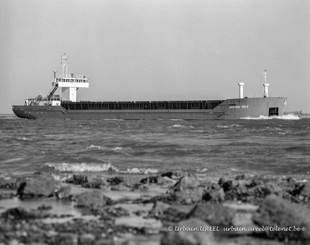 ARKLOW VALE (*1989) 21 OCT 1997