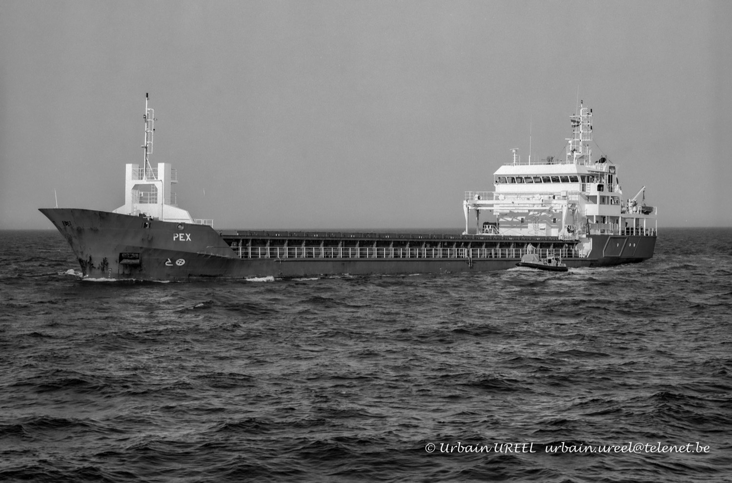 PEX (°2001) 11 MAY 2008