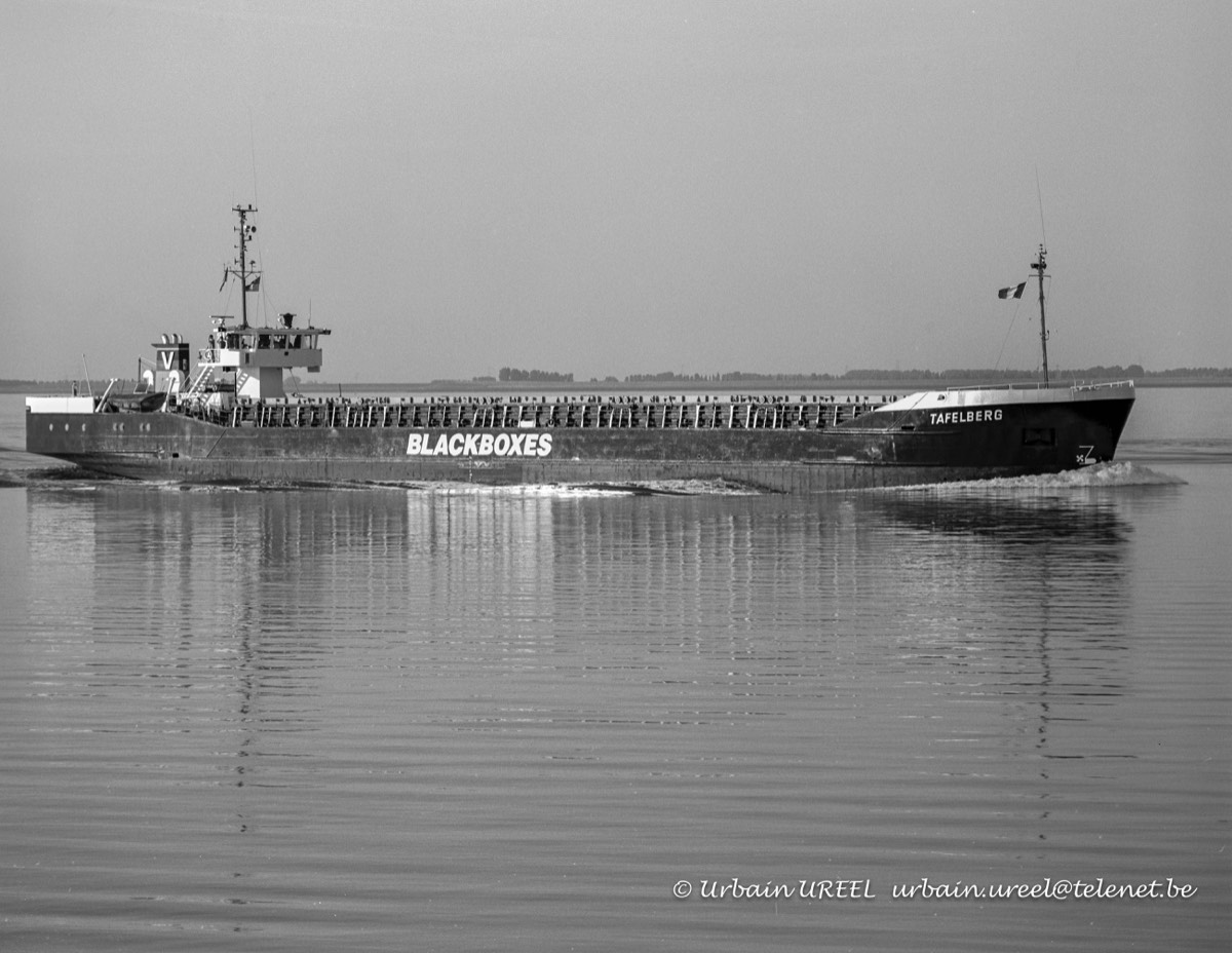 TAFELBERG  (°1981) 26 JUL 1996