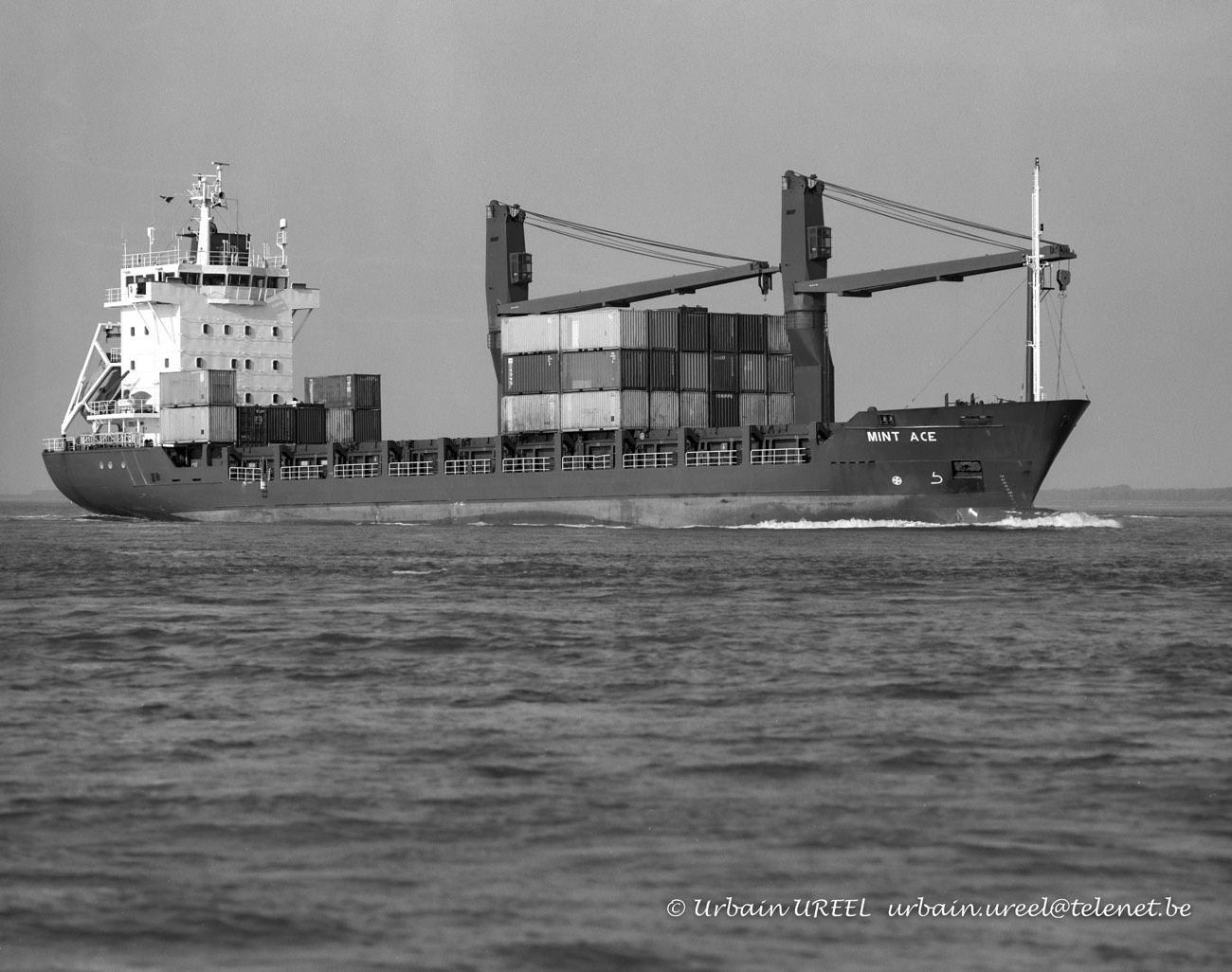 MINT ACE (°1997) 23  SEP 1998