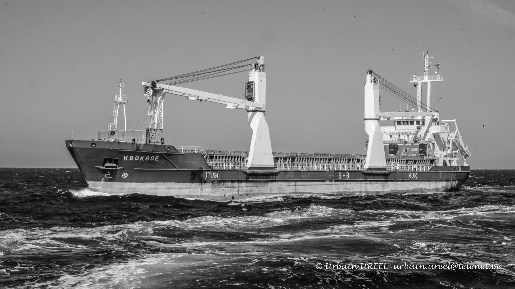 KROKSOE (°2012)  28 MAY 2020