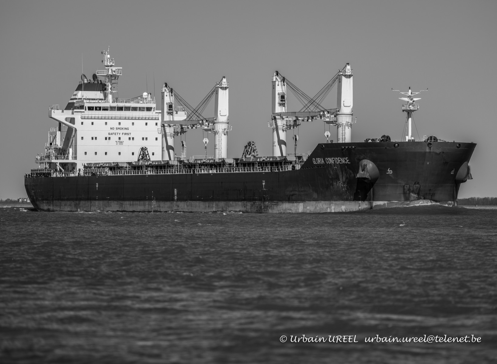 GLORIA CONFIDENCE (°2019) 3 APR 2023