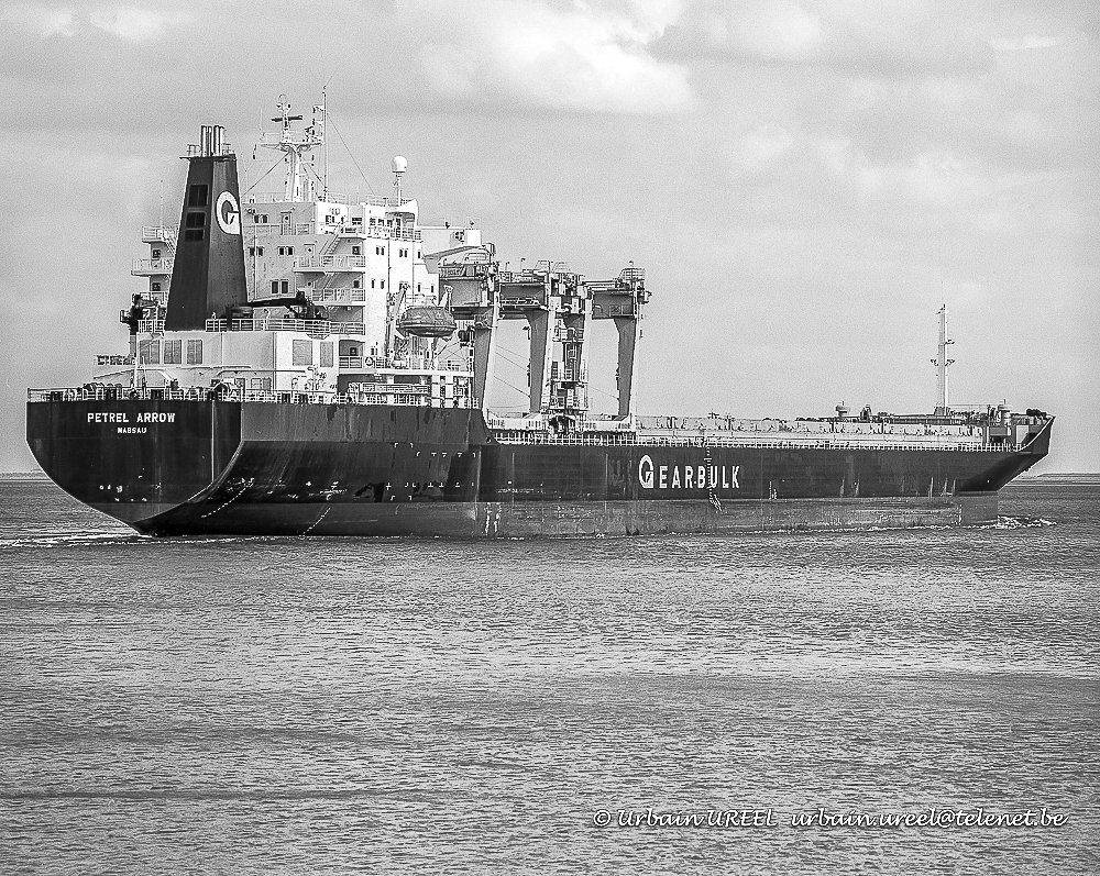 PETREL ARROW  (°1985) 12 SEP 1994