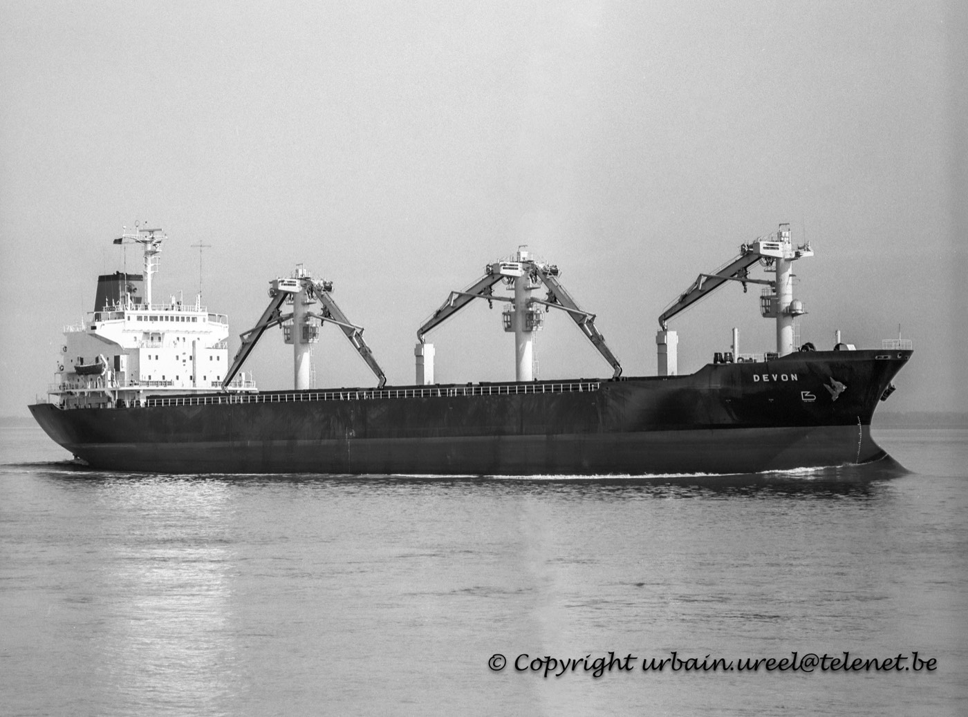 DEVON(°1981) 6 SEP 1993