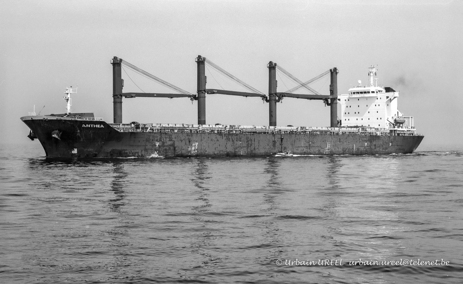 ANTHEA (°1996) 25 MAY 2006