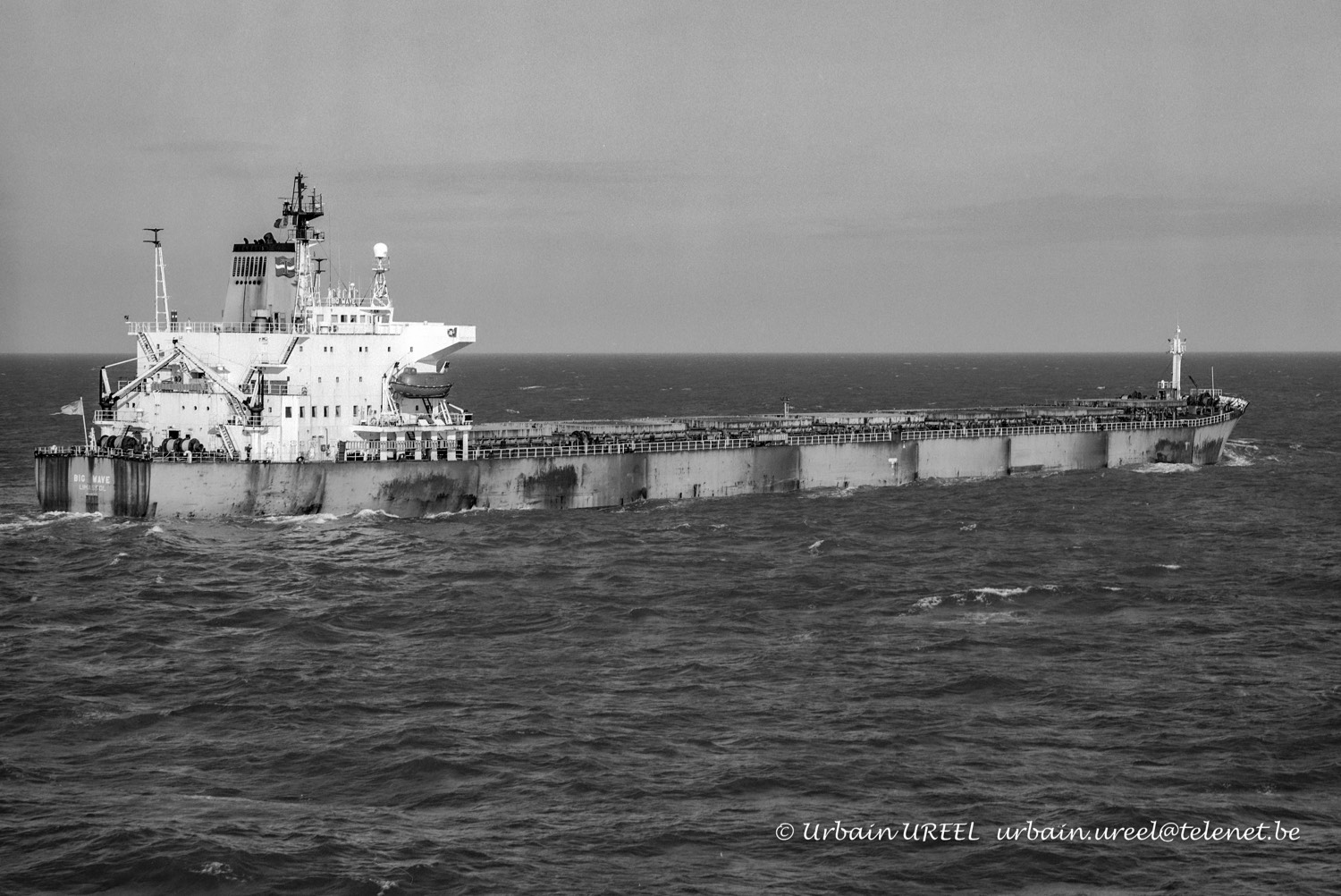 BIG WAVE (°1989) 2006