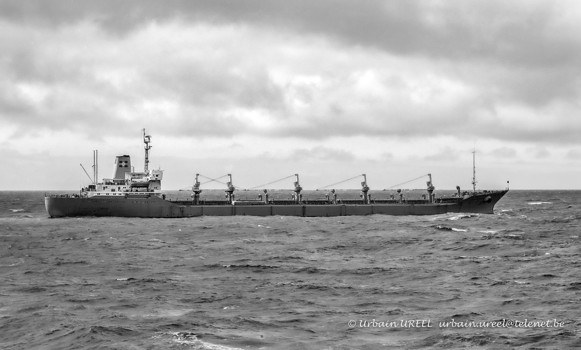 NORTRANS KATHE (°1973)