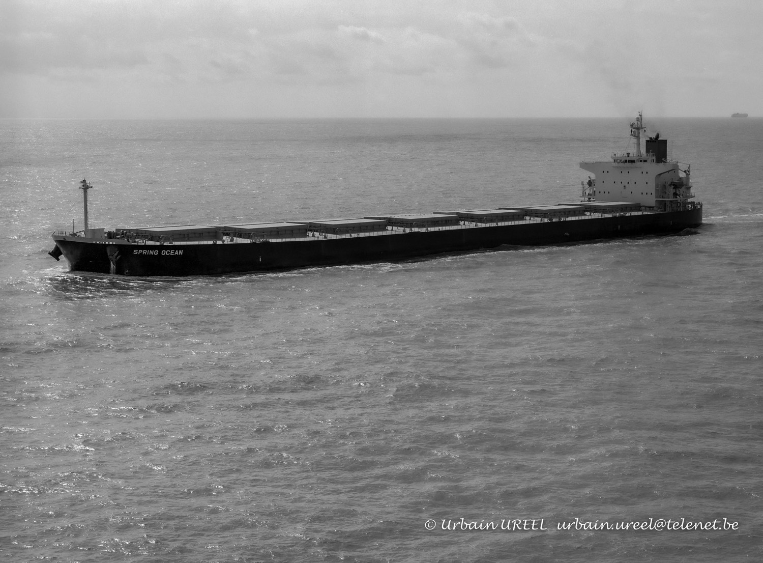 SPRING OCEAN (°2005)  2007