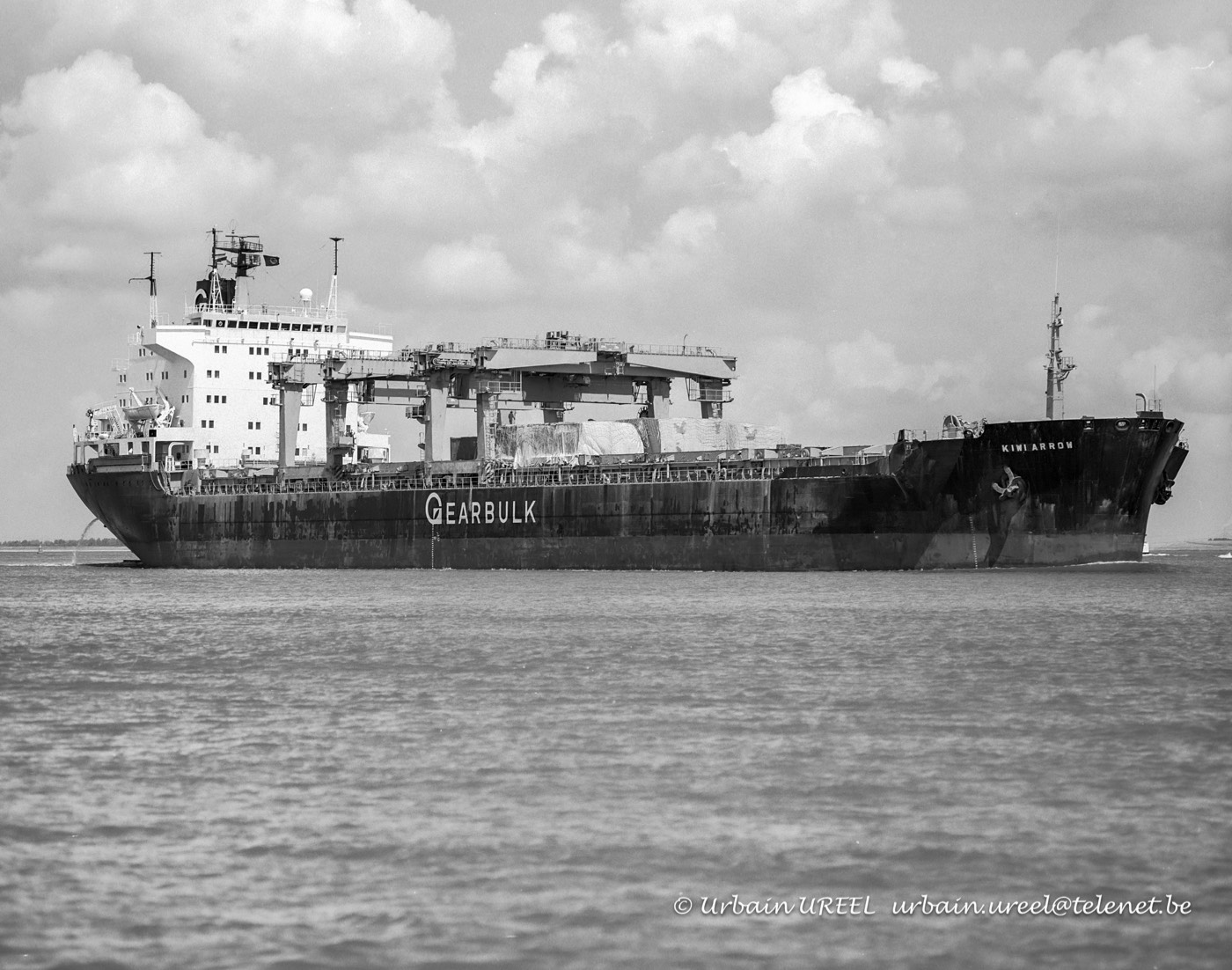 KIWI ARROW (°1981) 17 JUN 1993