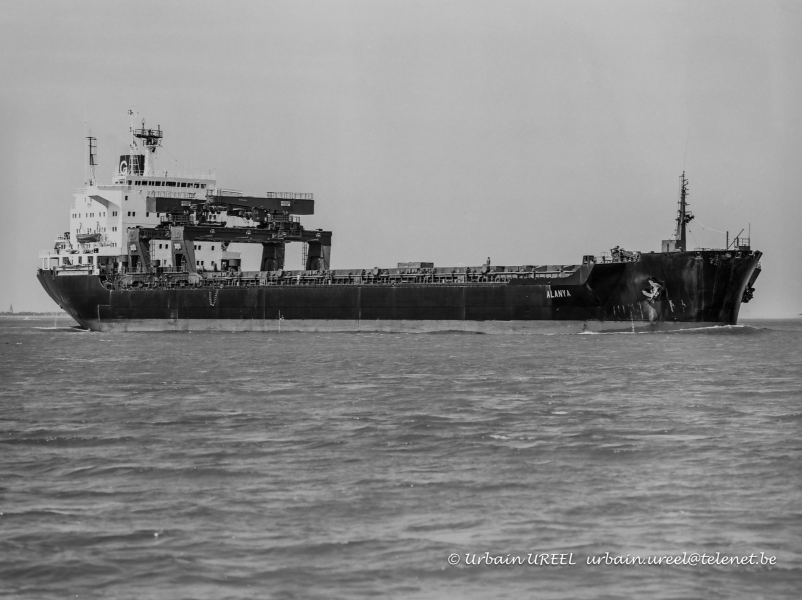 ALANYA (°1986) 27 JUN 1995