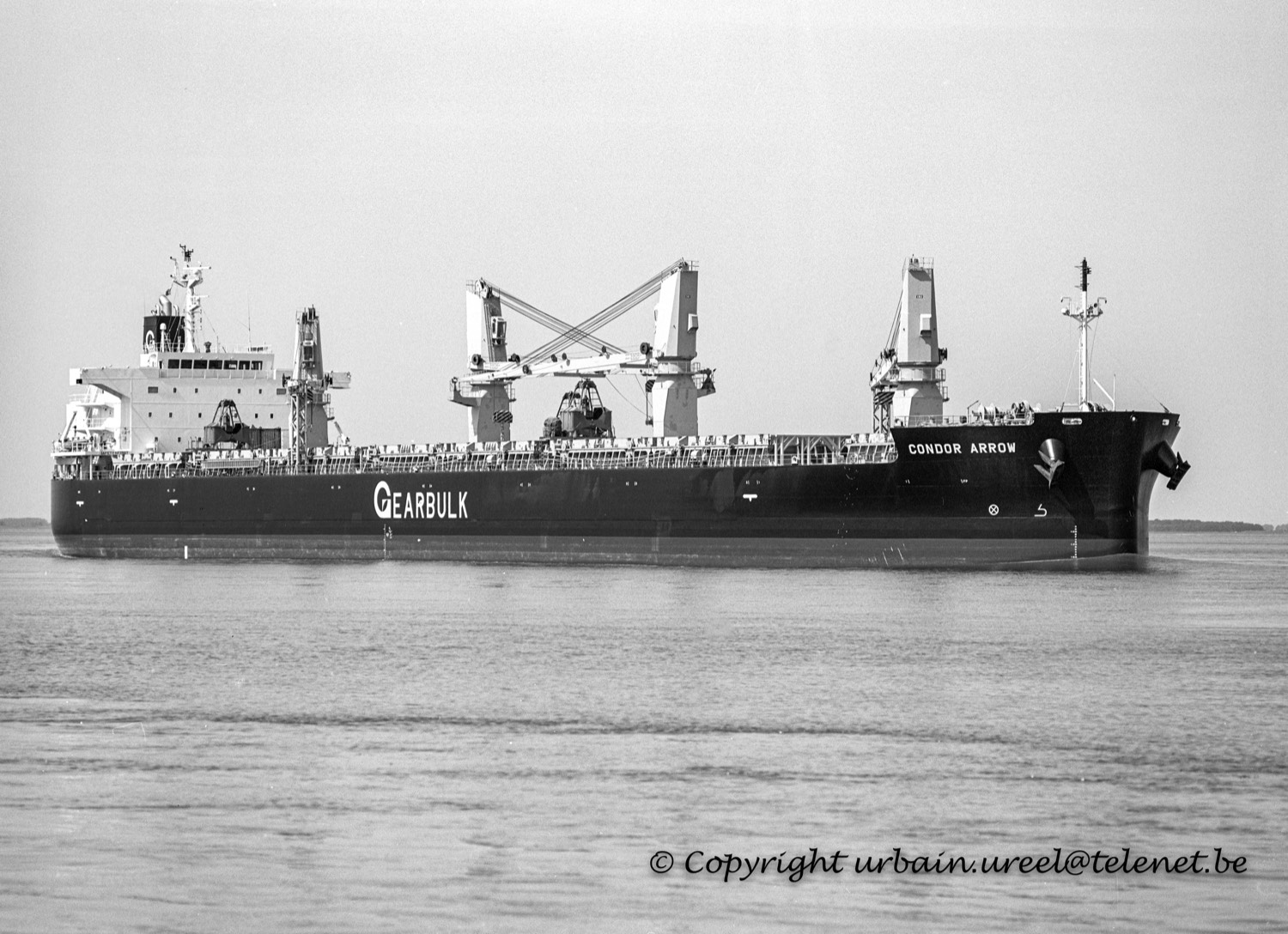 CONDOR ARROW (°2012) 4 JUN 2015