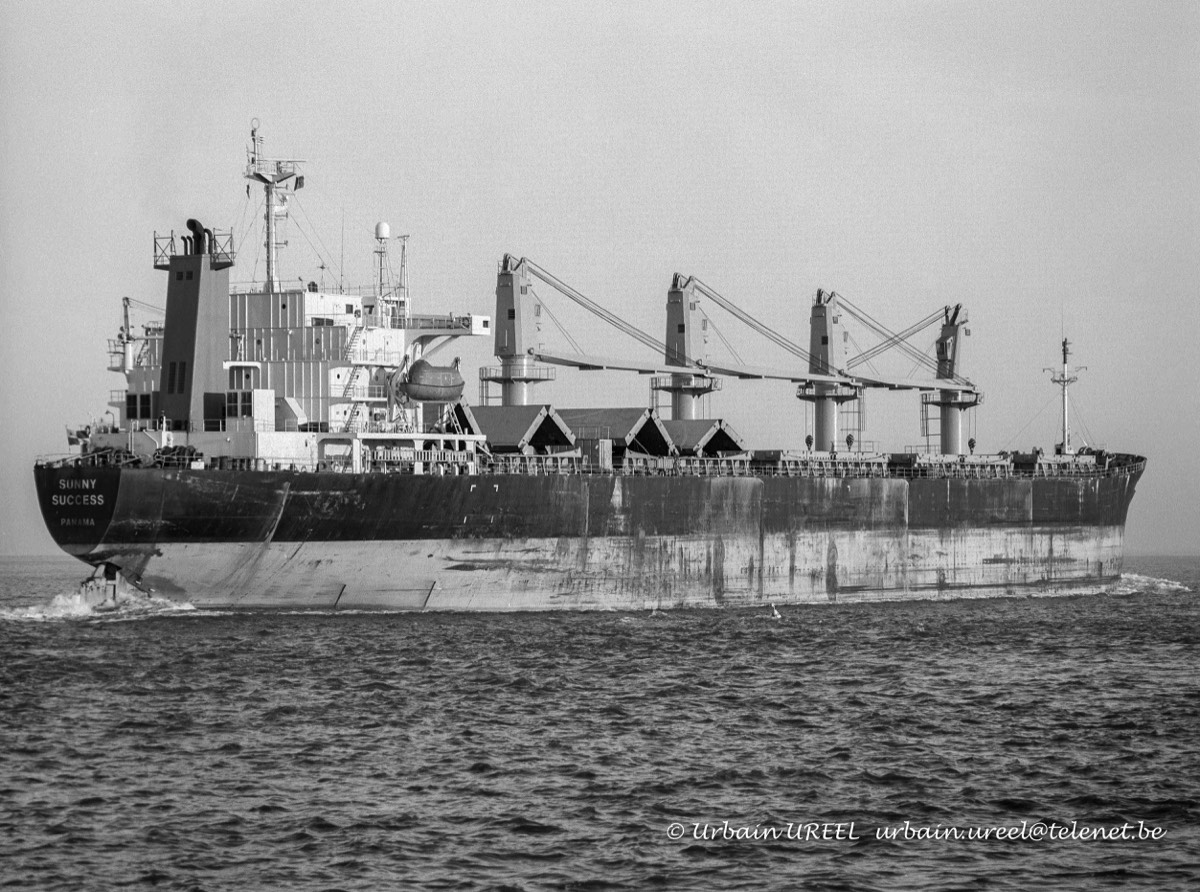 SUNNY SUCCESS (°1991) 26 JAN 1998