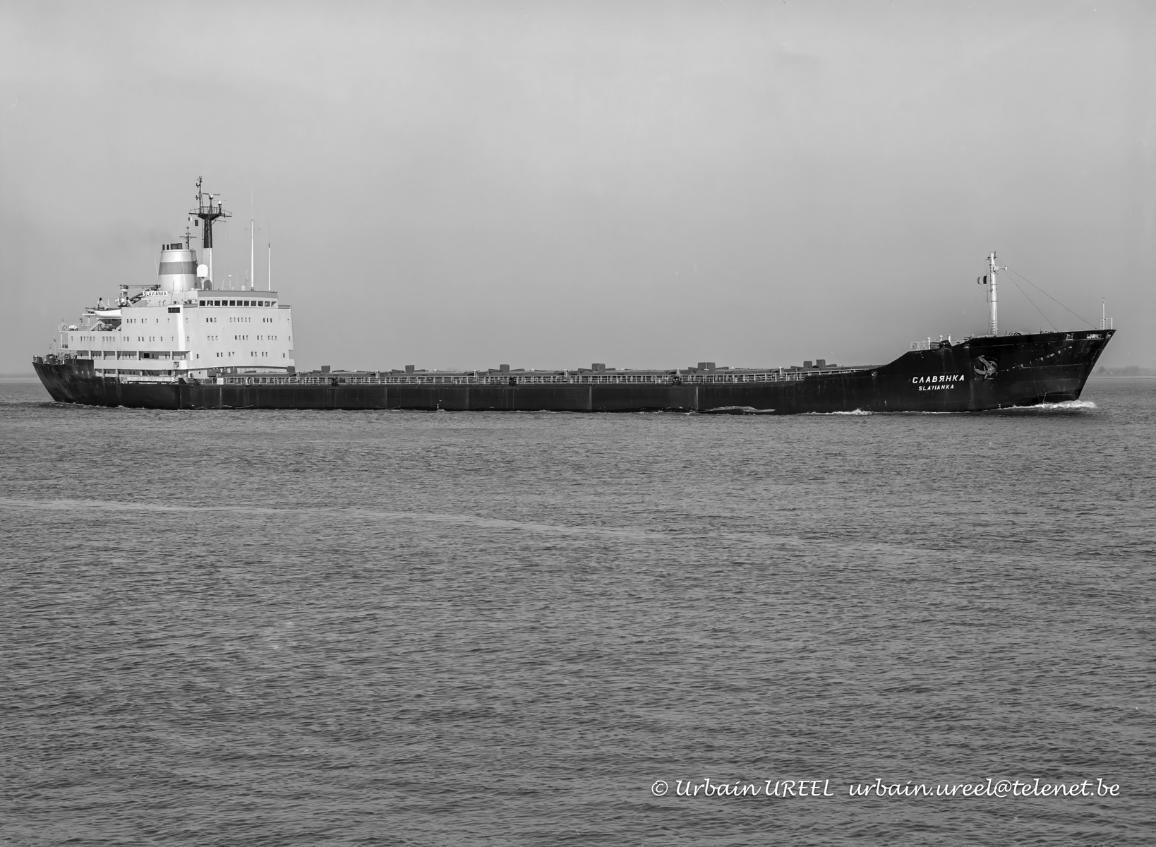 SLAVIANKA (°1978) 20 NOV 1998