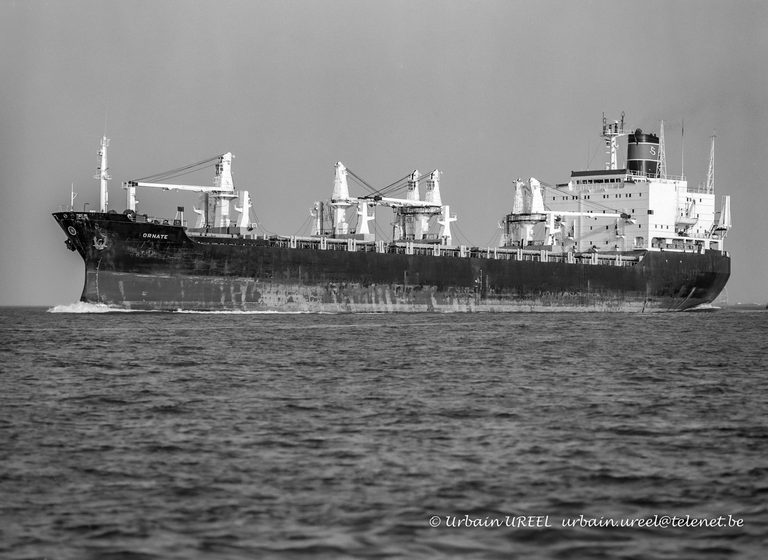 ORNATE (°1977) 23 SEP 1998