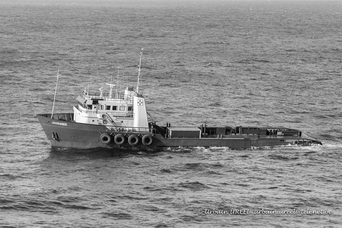 JAGRANDE (°1979) 11 AUG 1987