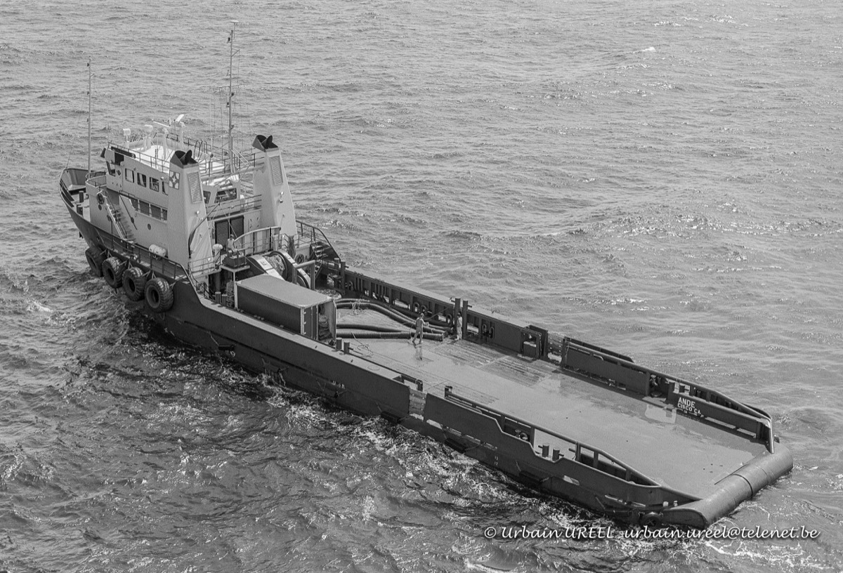 JAGRANDE (°1979) 11 AUG 1987