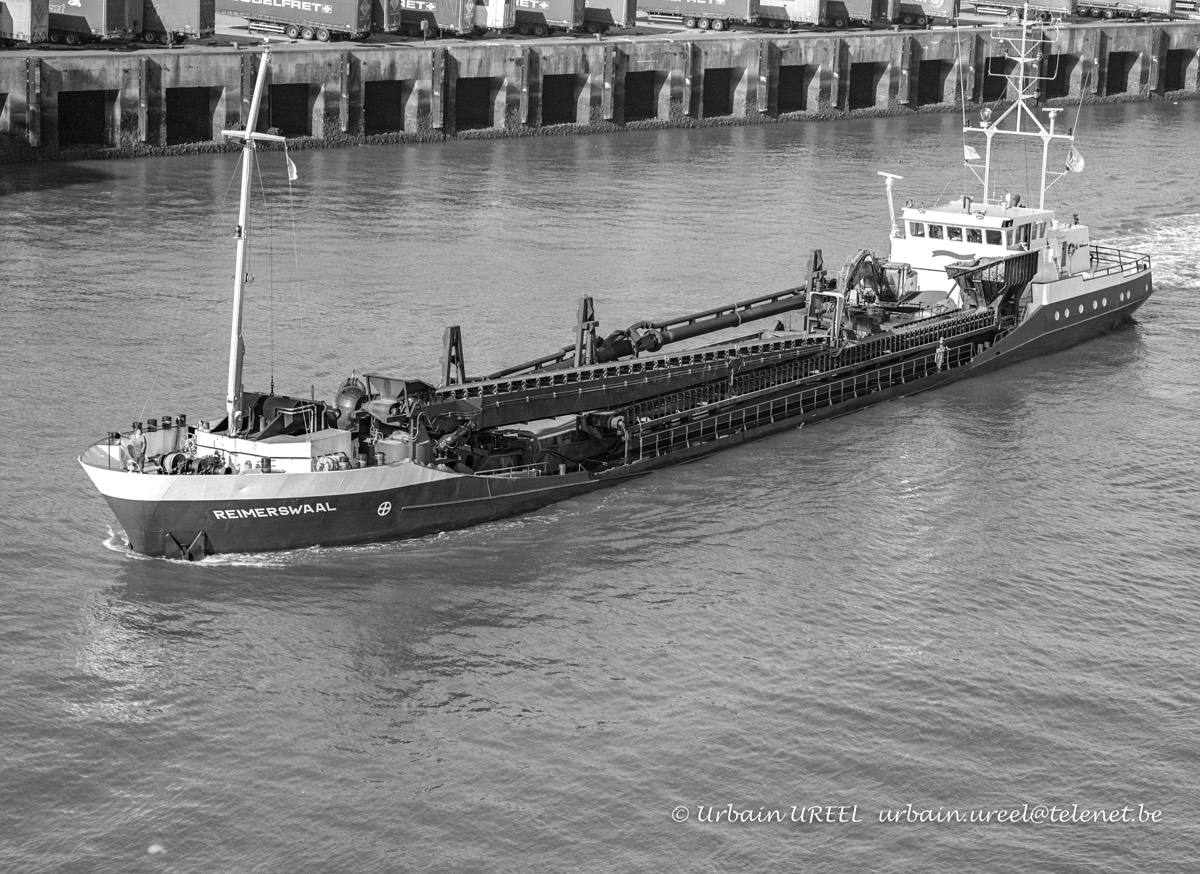 REIMERSWAAL (°1994) 16 SEP 2004