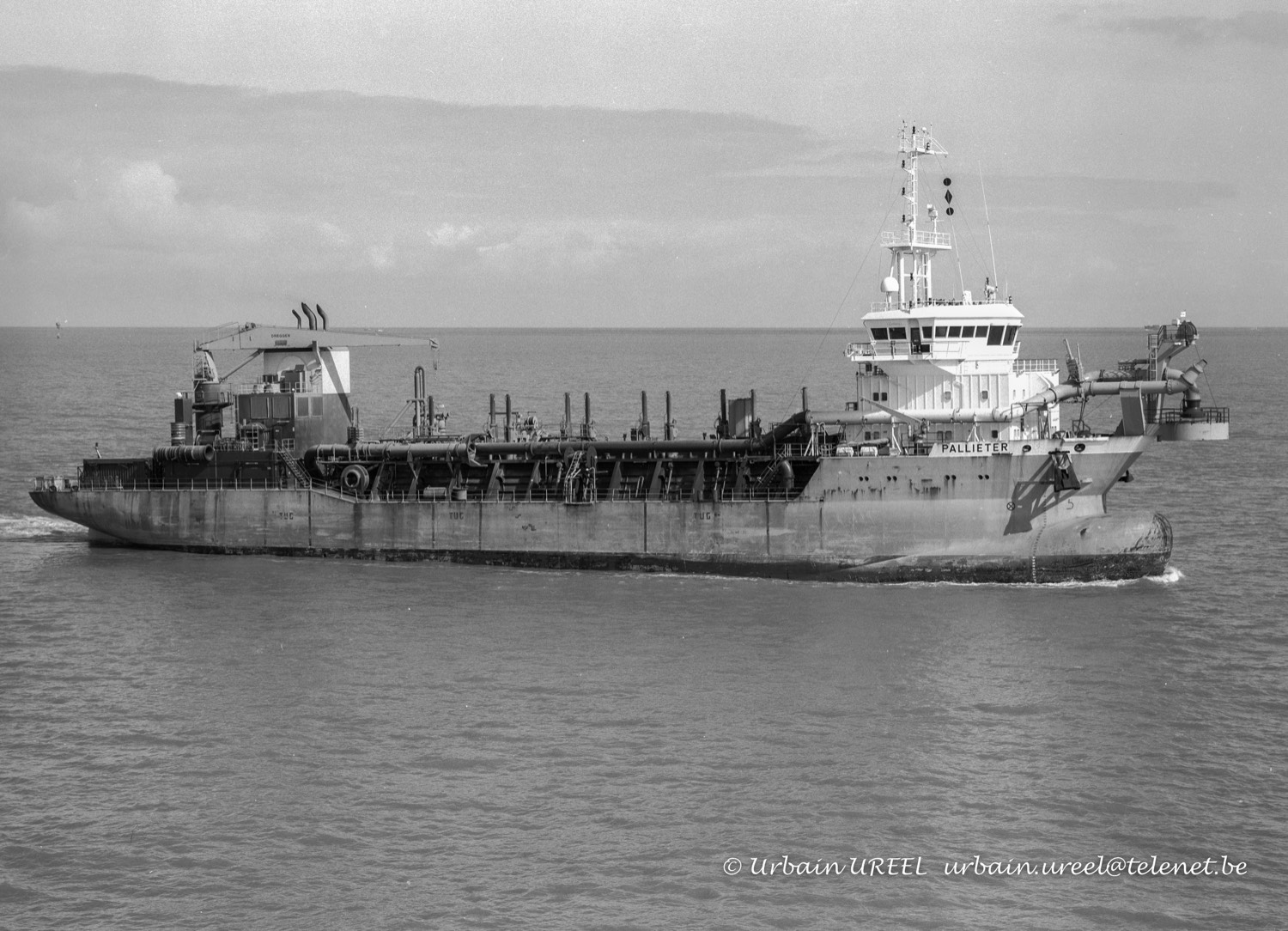 PALLIETER ((°2004) 22 MAR 2006