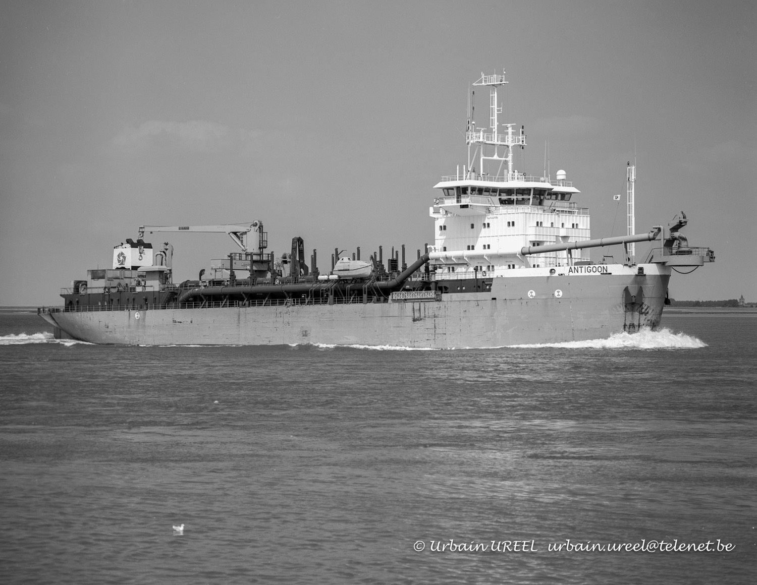 ANTIGOON (°1990)  13 AUG 1993