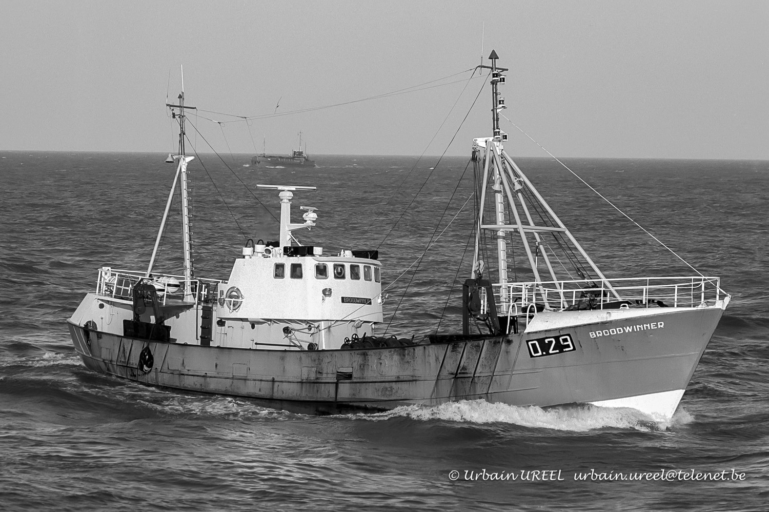 O.29 BROODWINNER (°1967) 7 JAN 1991