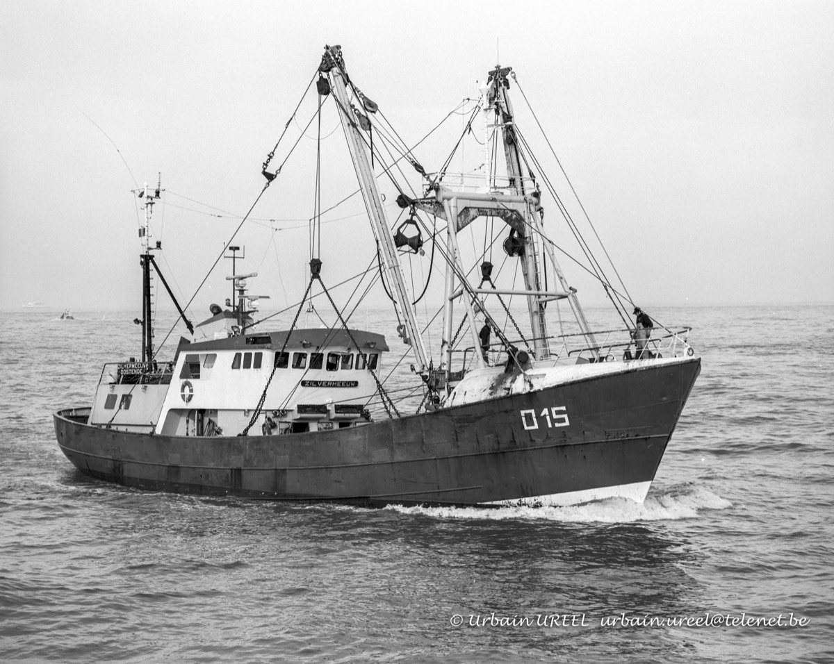 O.15 ZILVERMEEUW    2 SEP 1999