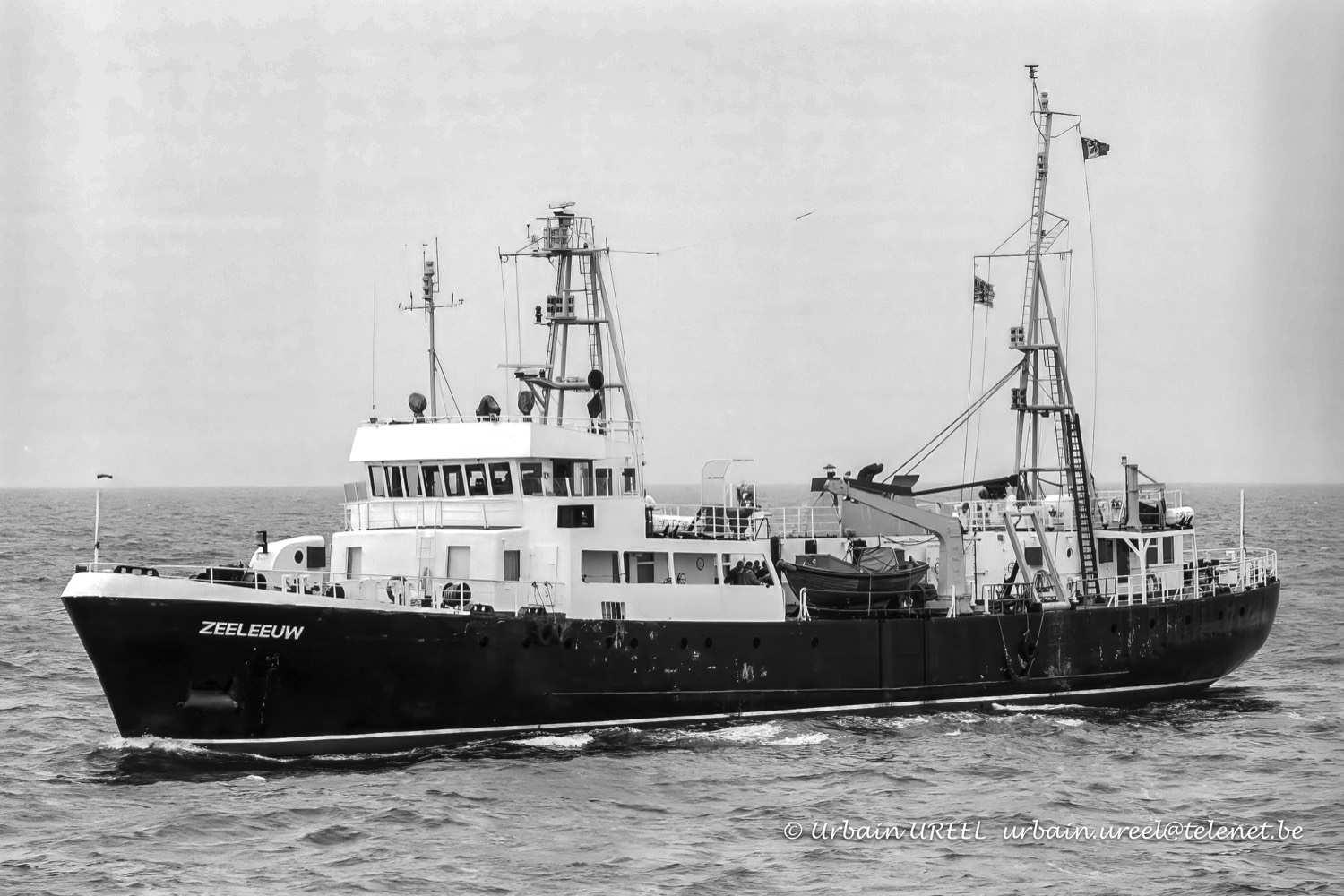 ZEELEEUW (°1977) 2003