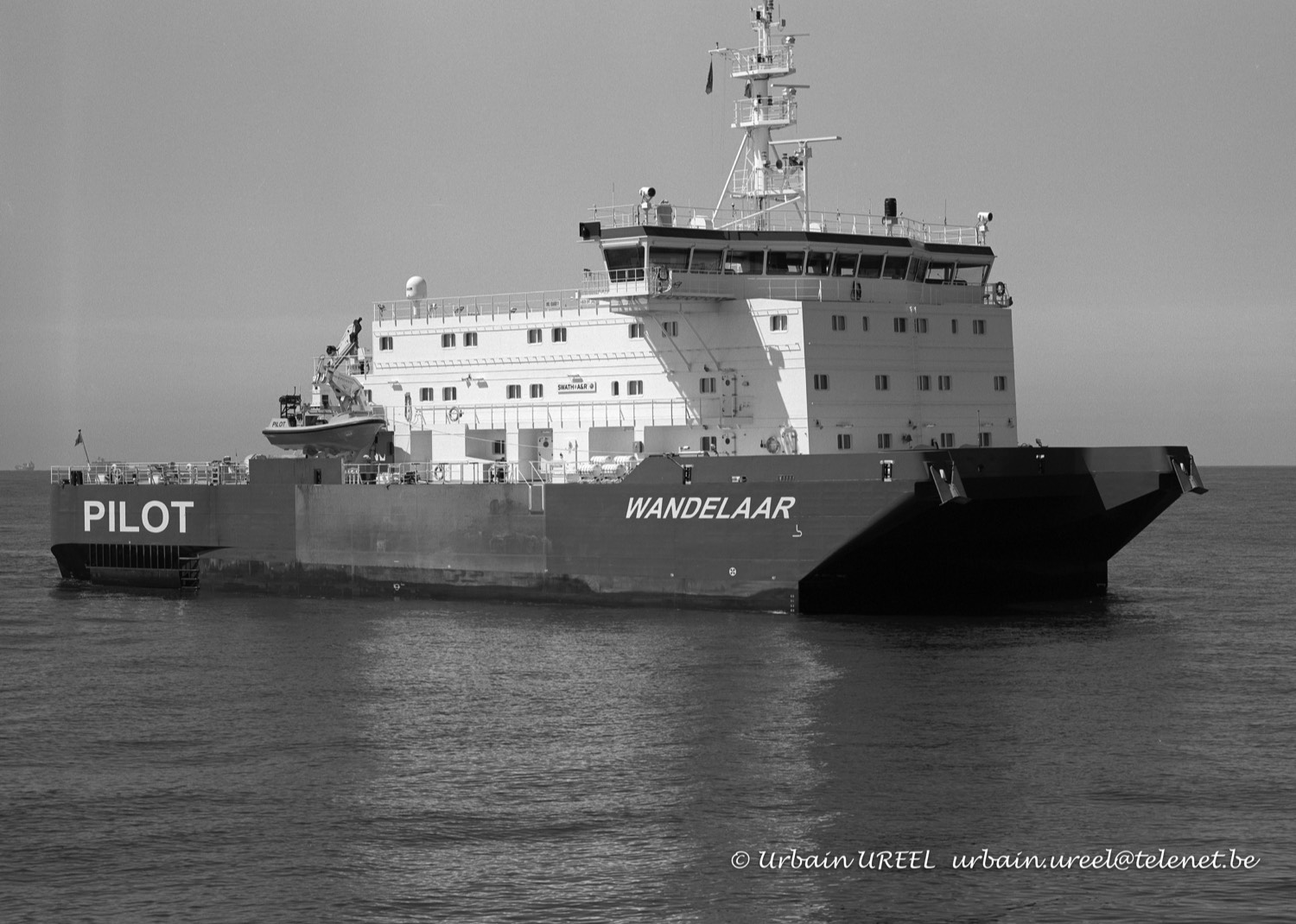 WANDELAAR  (°2012)  JUN 2013