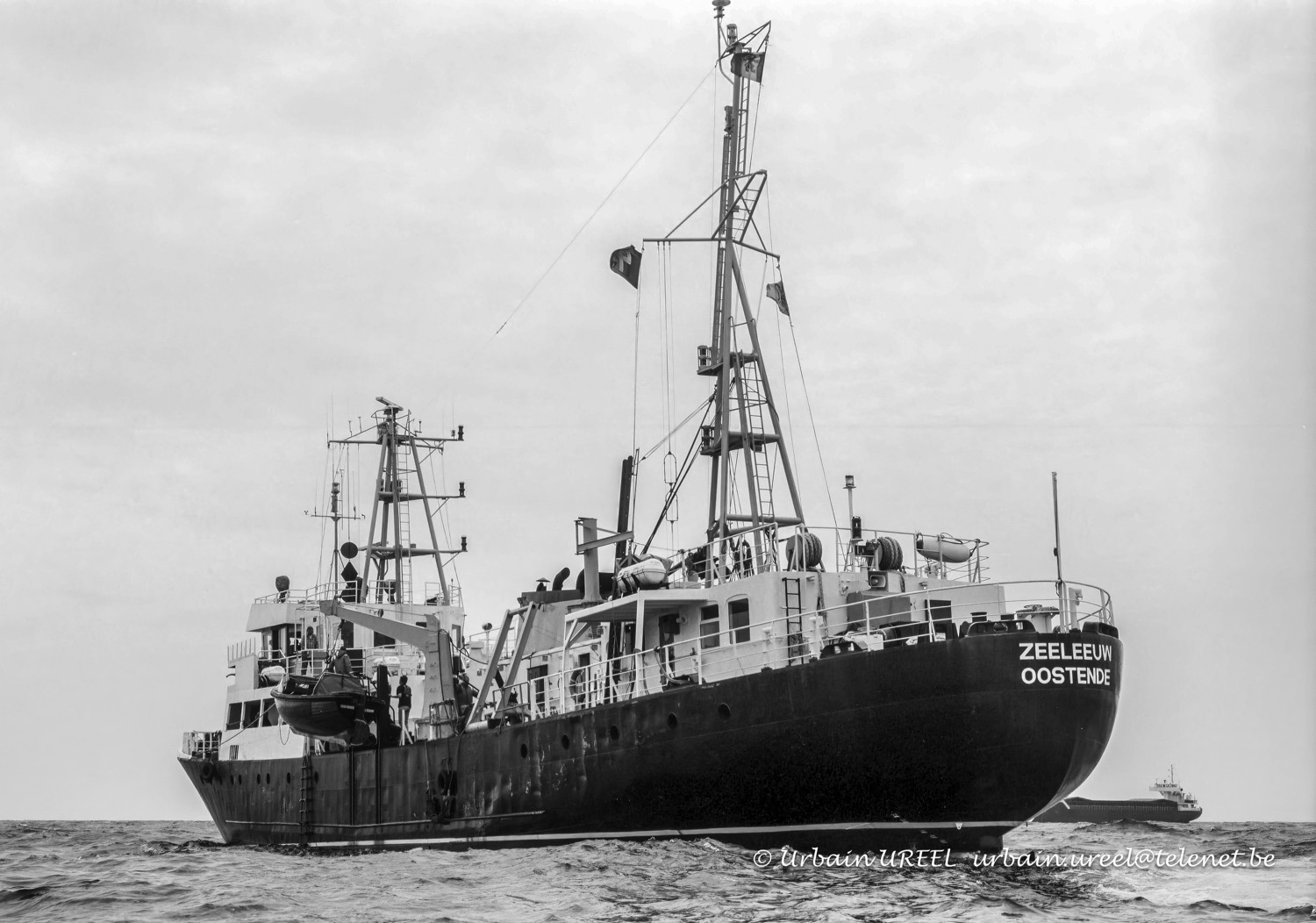 ZEELEEUW (°1977) 2003