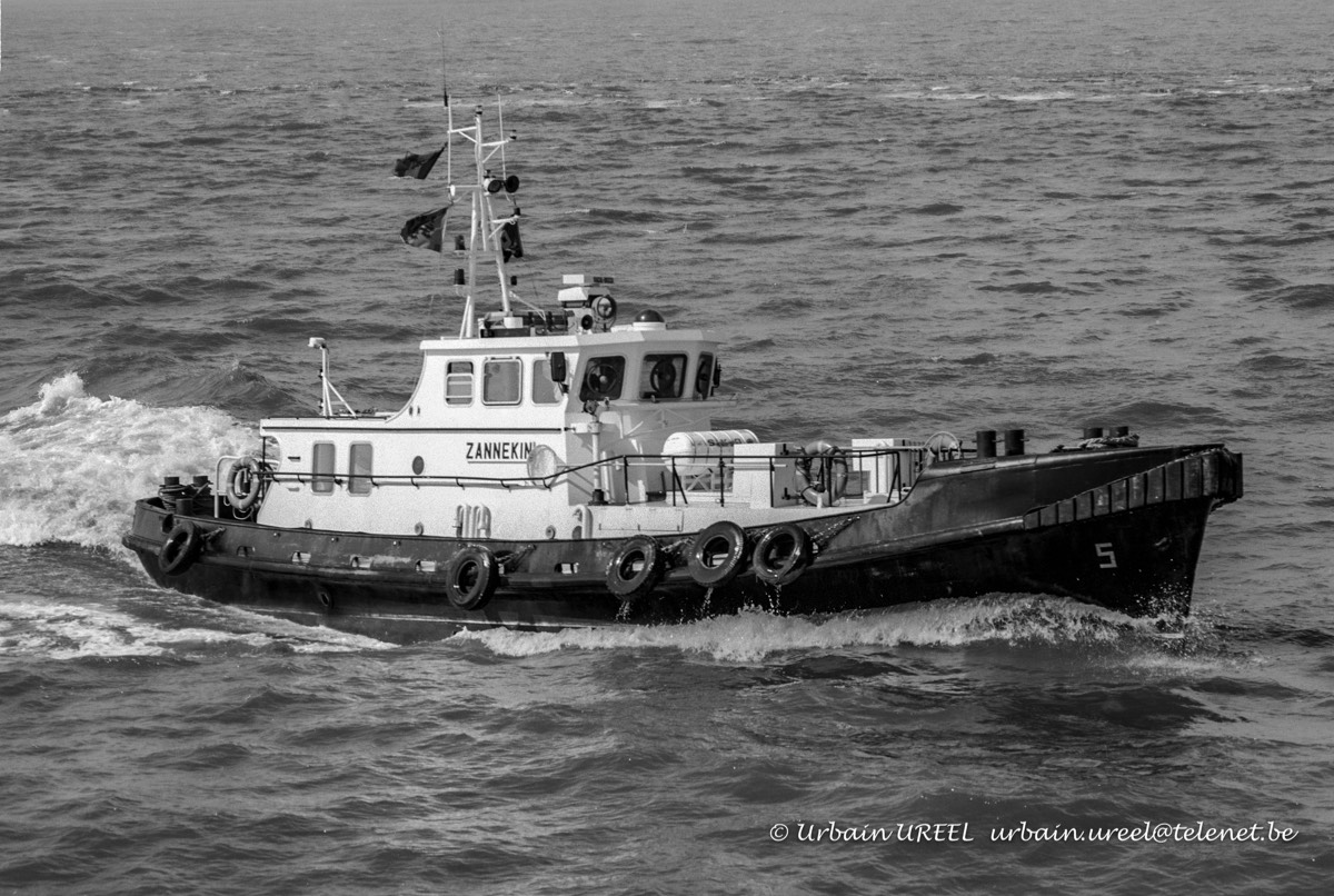 ZANNEKIN (°1992) 4 MAY 1998