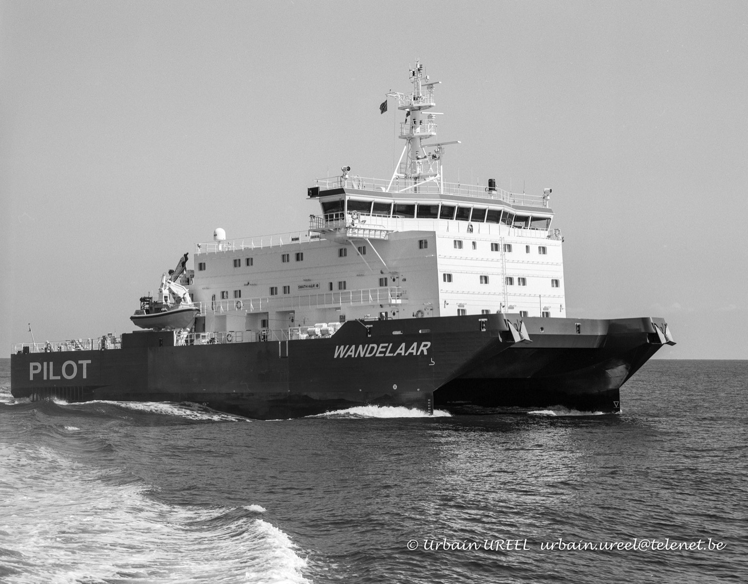 WANDELAAR (°2012) 27 APR 2013