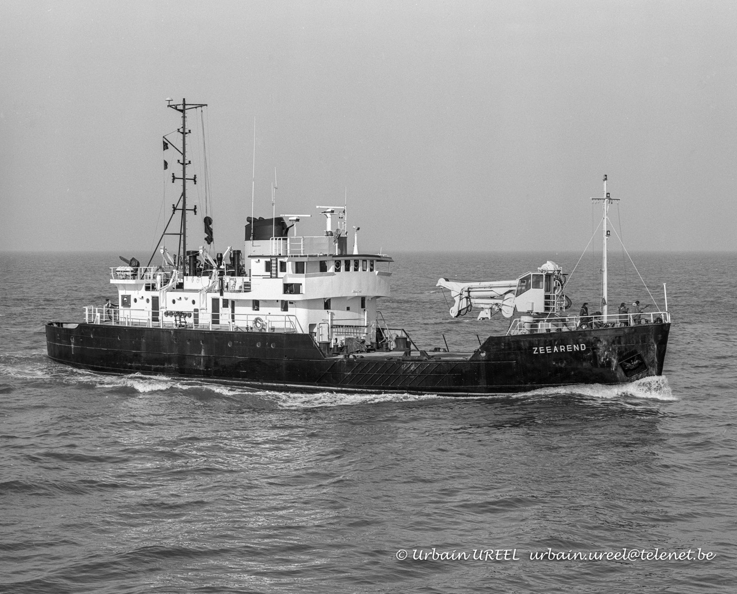 ZEEAREND (°1957) 26 FEB 1999