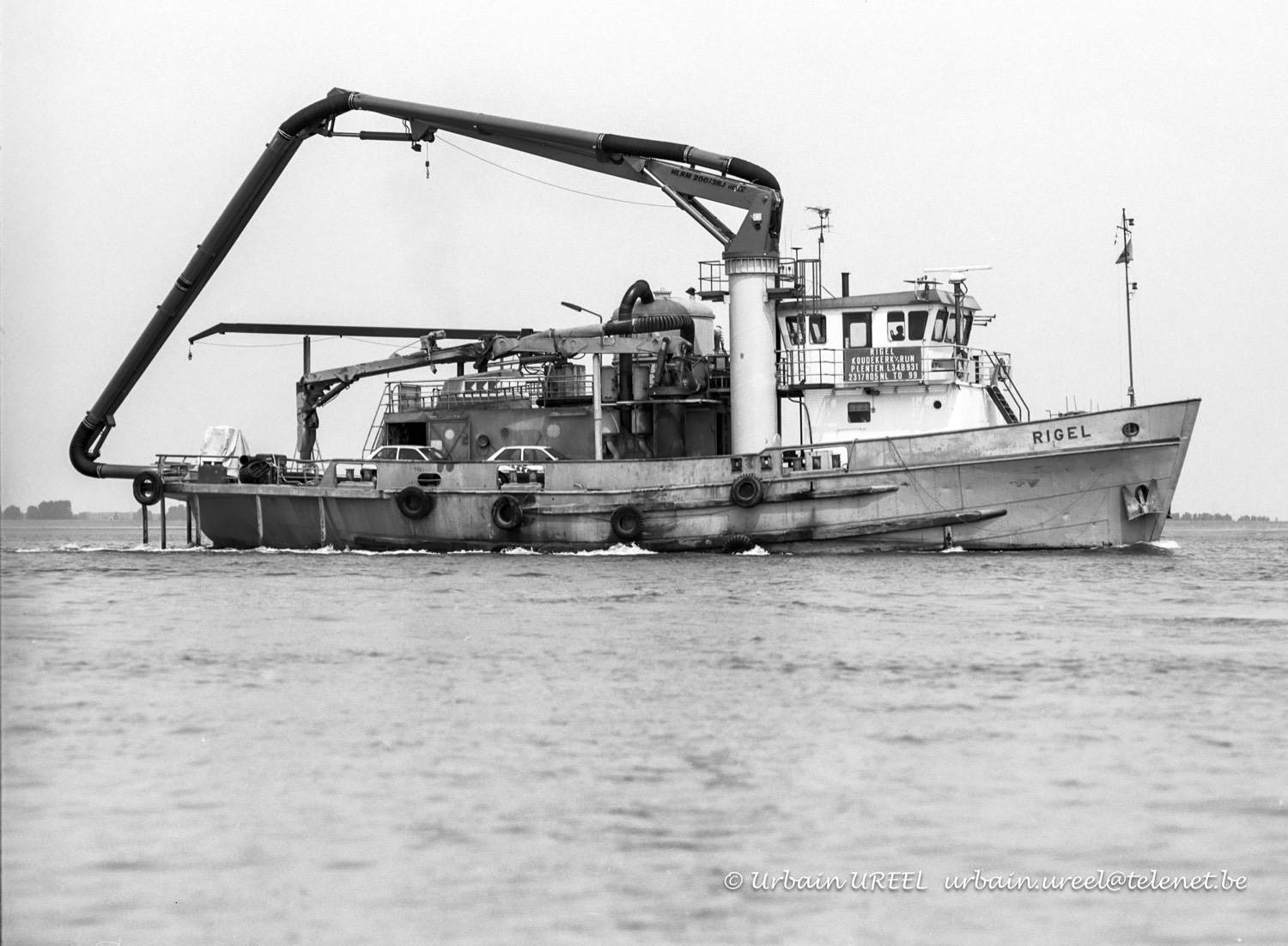 RIGEL (°1953) 25 JUN 1993