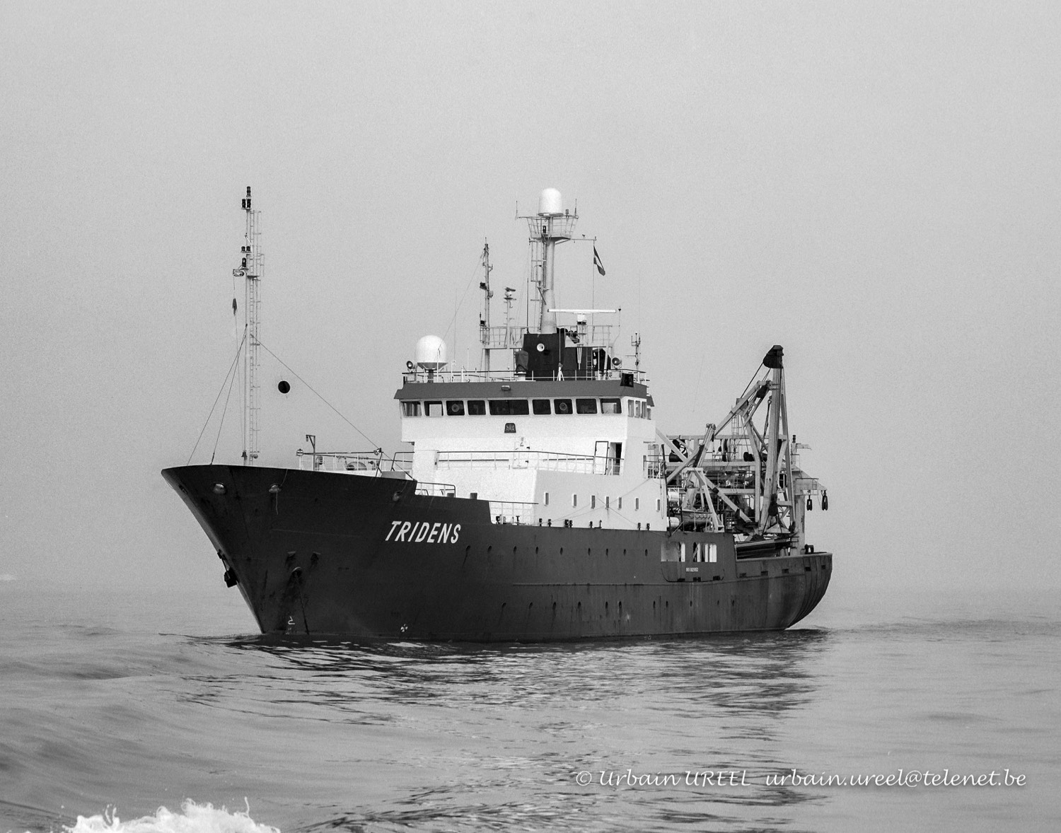 TRIDENS (°1990) 2009